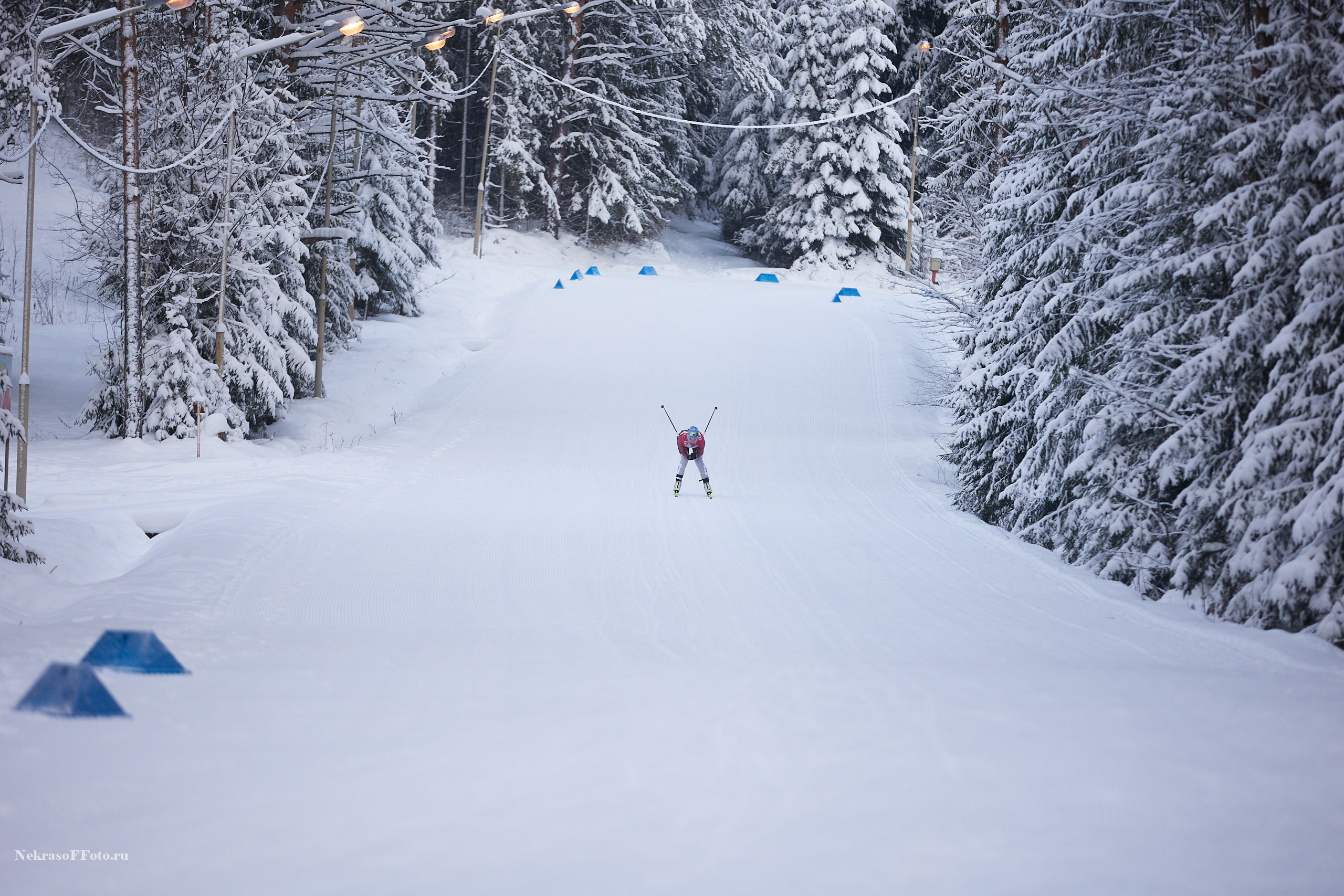 Кубок России по Лыжным гонкам. Спортивный фотограф Некрасов Денис