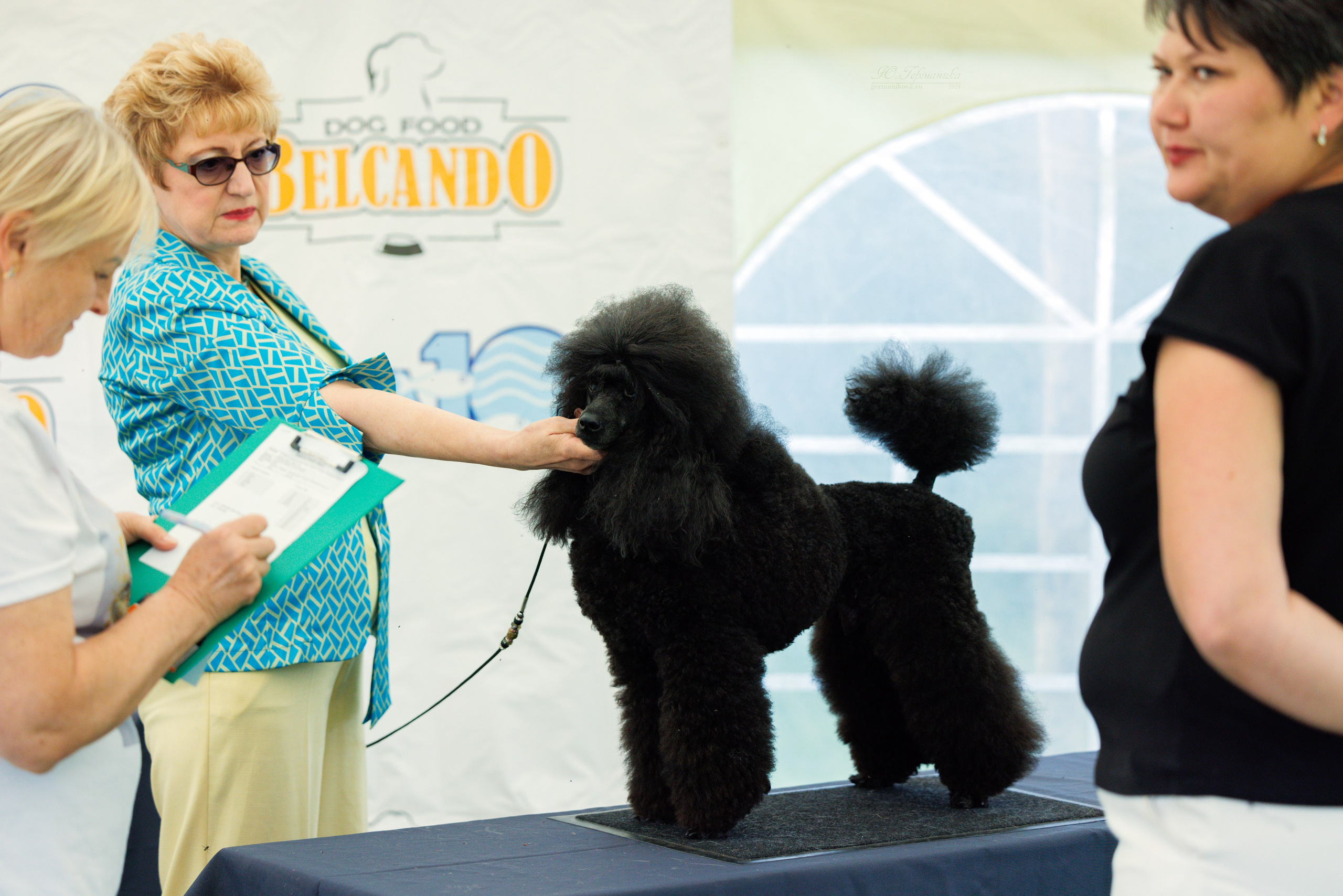 Астана 2хCACIB 17-18.08.2024. Фотограф-анималист Юлия Германика