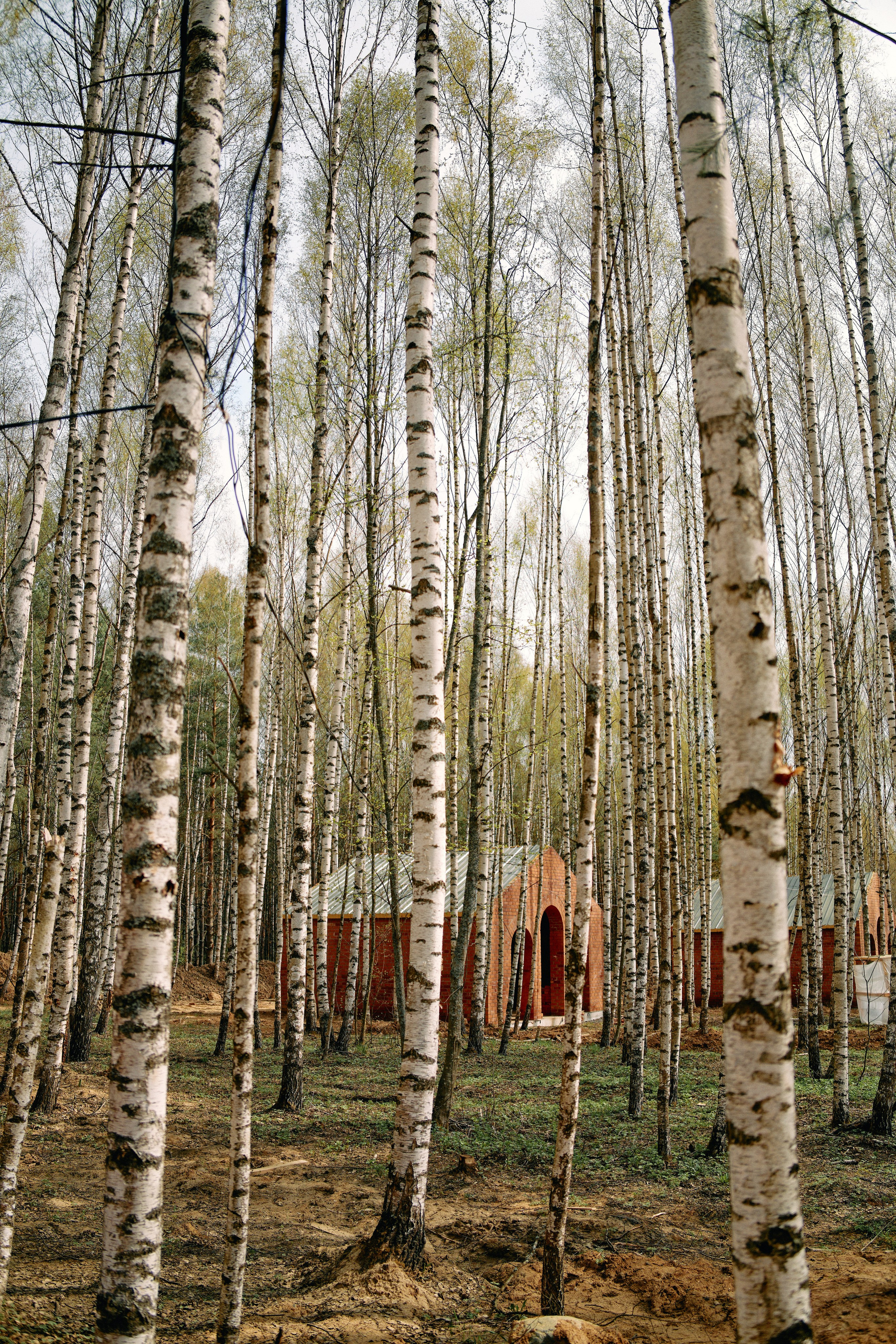 Бутик-отель Поле летом. Профессиональный Фотограф во Владимире, в Москве и в Суздале — Полина Романычева