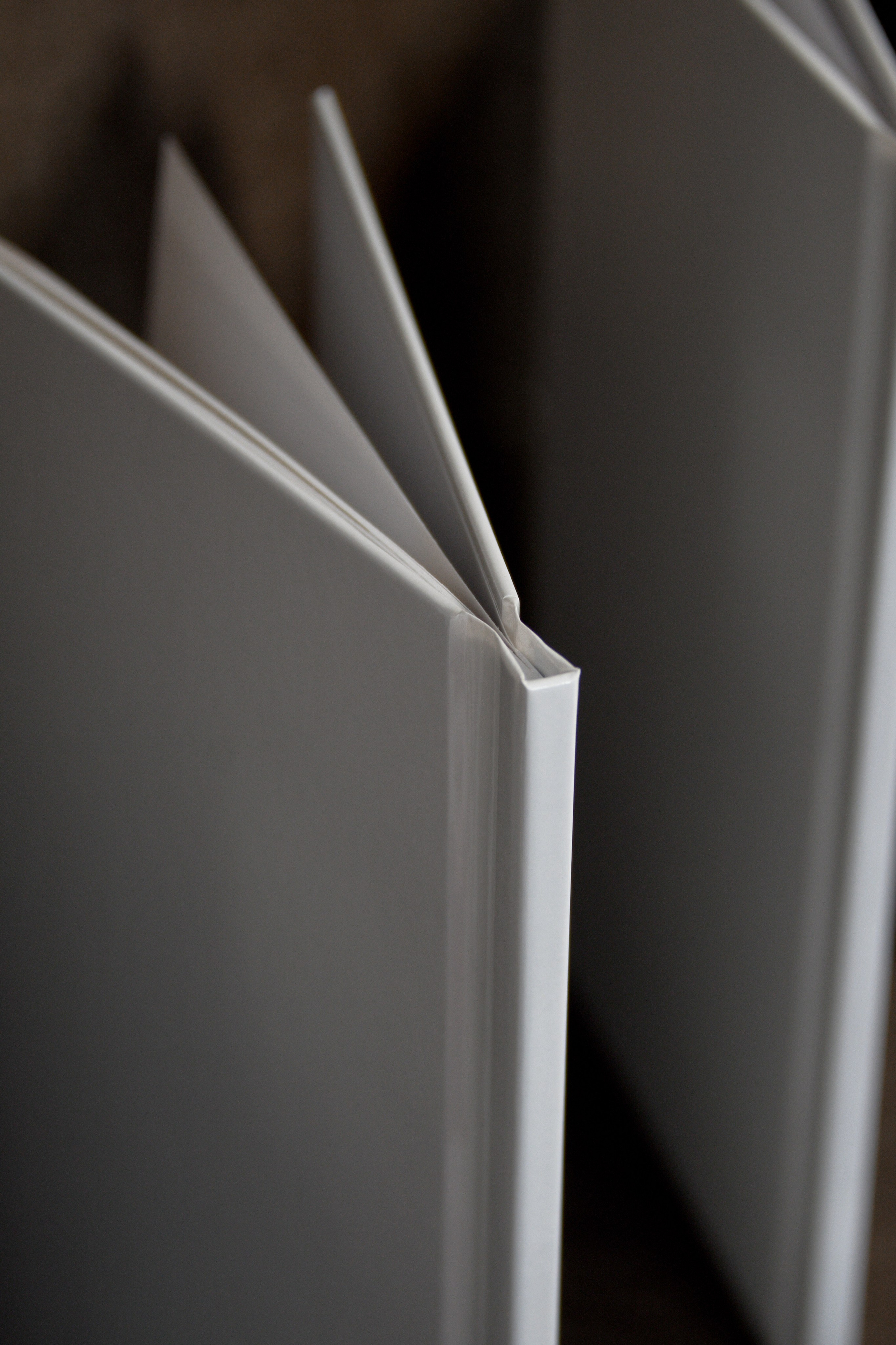 Фотоальбом Стандарт Макси. Фотограф в Санкт-Петербурге Ксения Яковчук