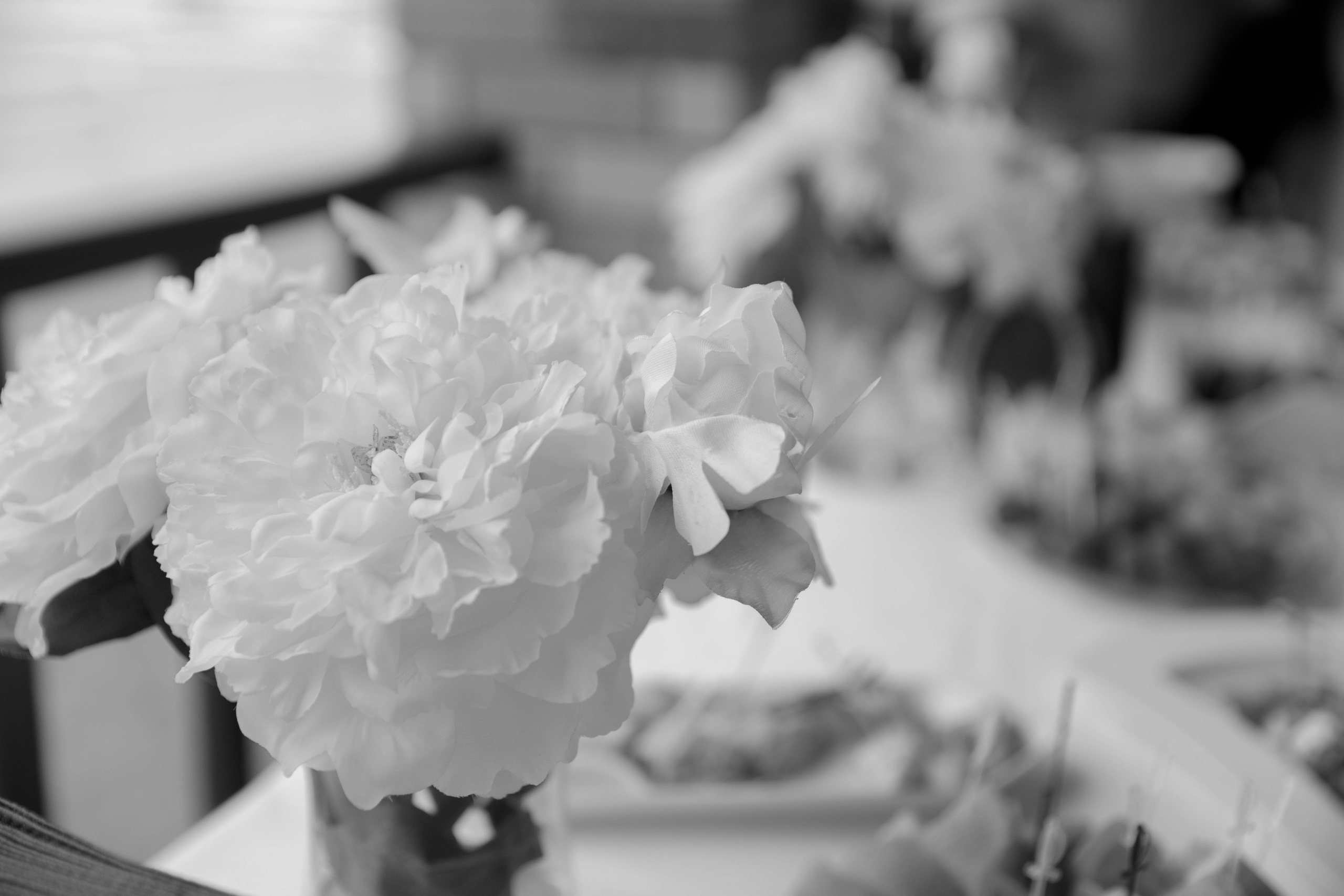 Даниил и Полина. КСК «Звездный». Свадебный и семейный фотограф в Москве и Подмосковье Ольга Останина