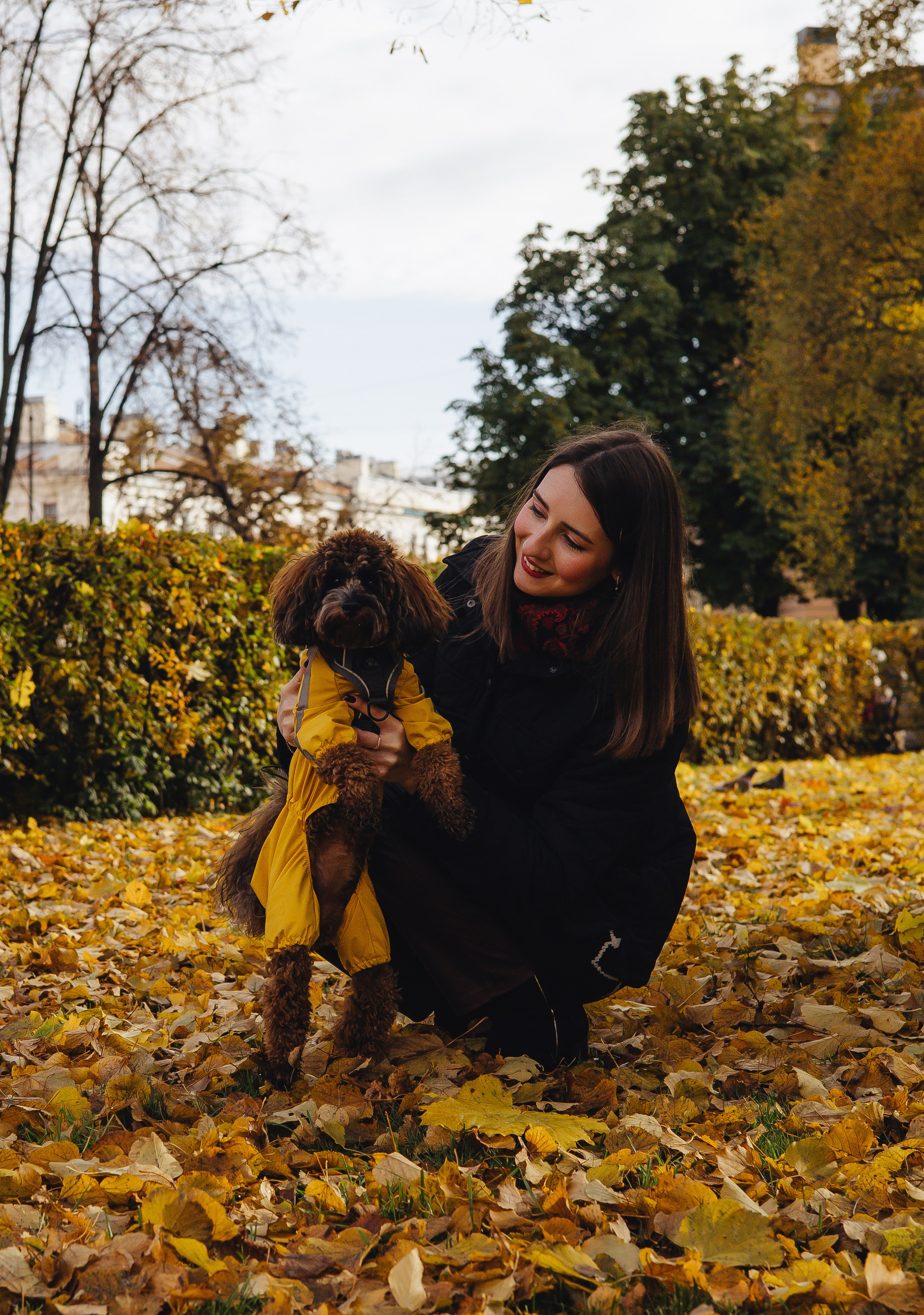 Летающая Мерси