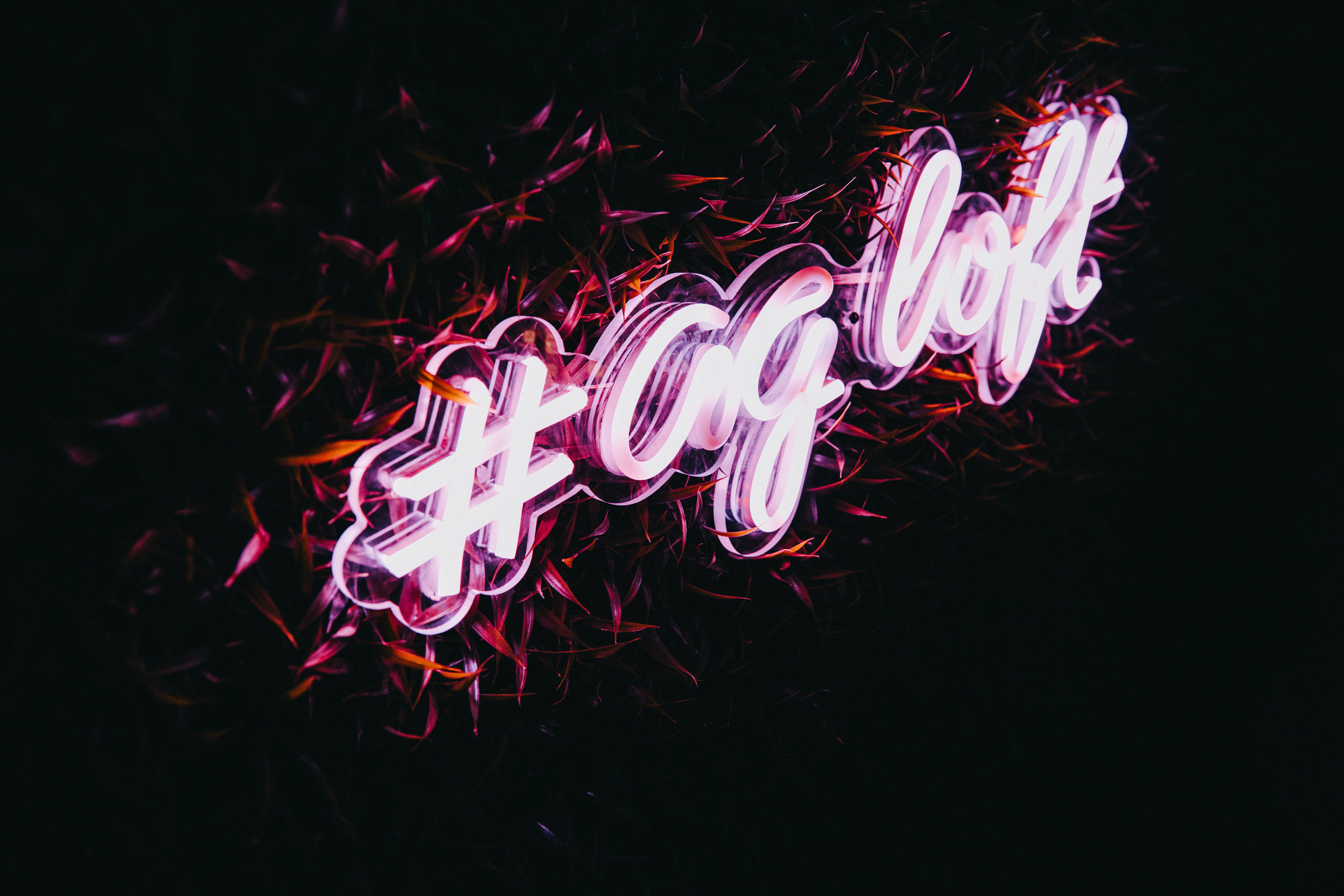 Корпоратив Райффайзен банка. Фотограф Андрей Ширкалин Москва Московская обл, Коломна, Рязань