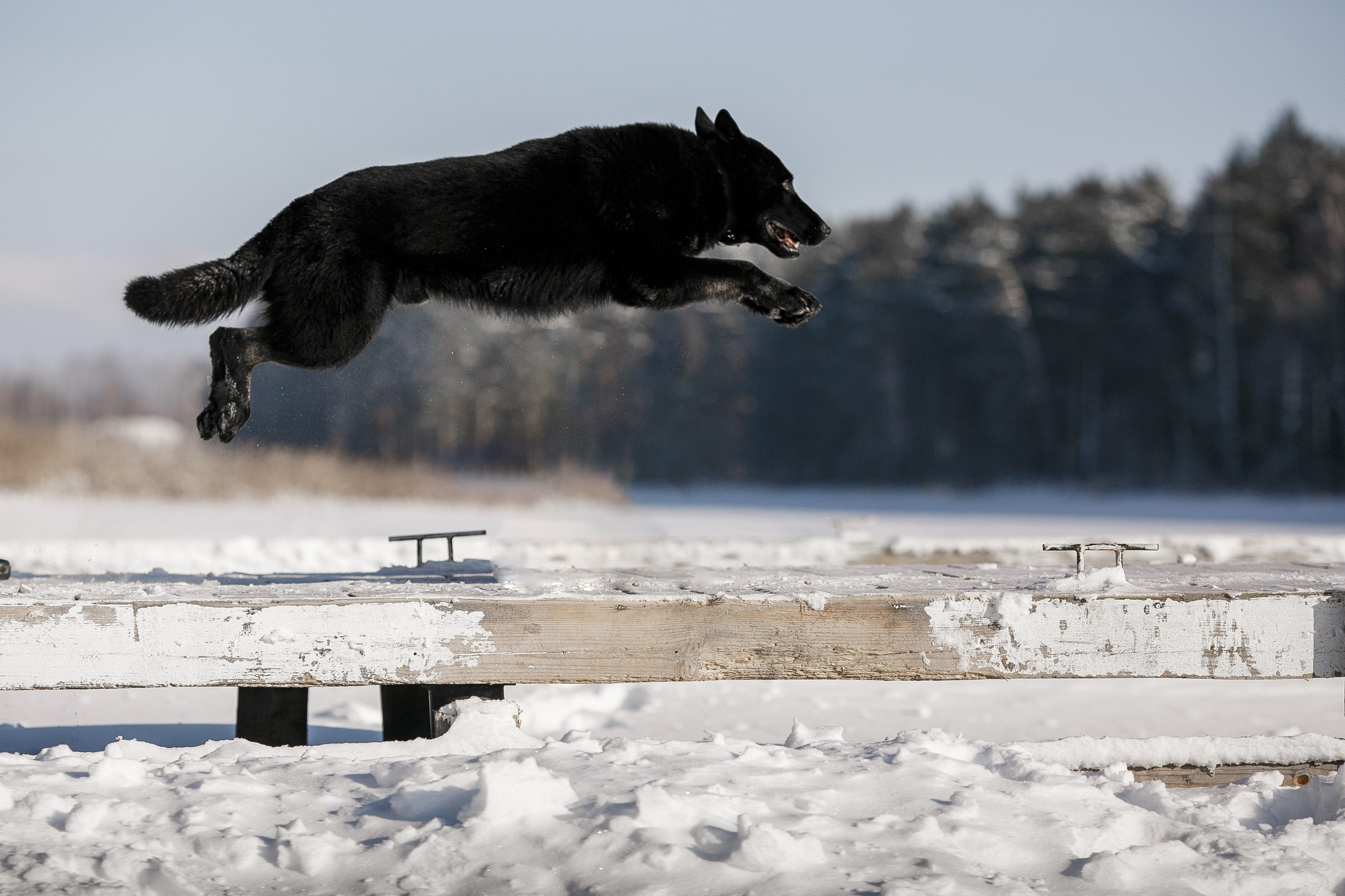Репортажный фотограф Борис Геер