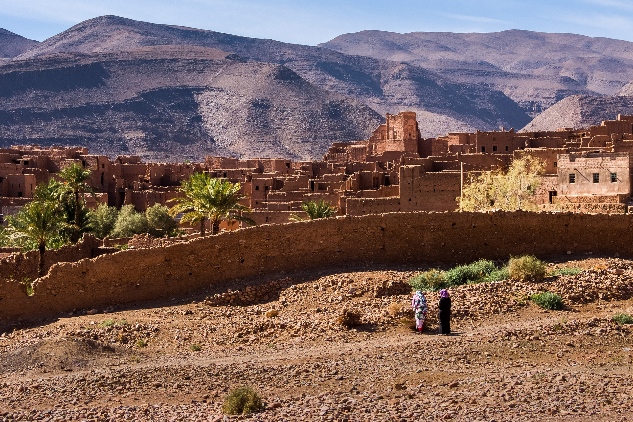 Обитатели синего города. Пейзажный фотограф Сергей Пестерев. Фото природы