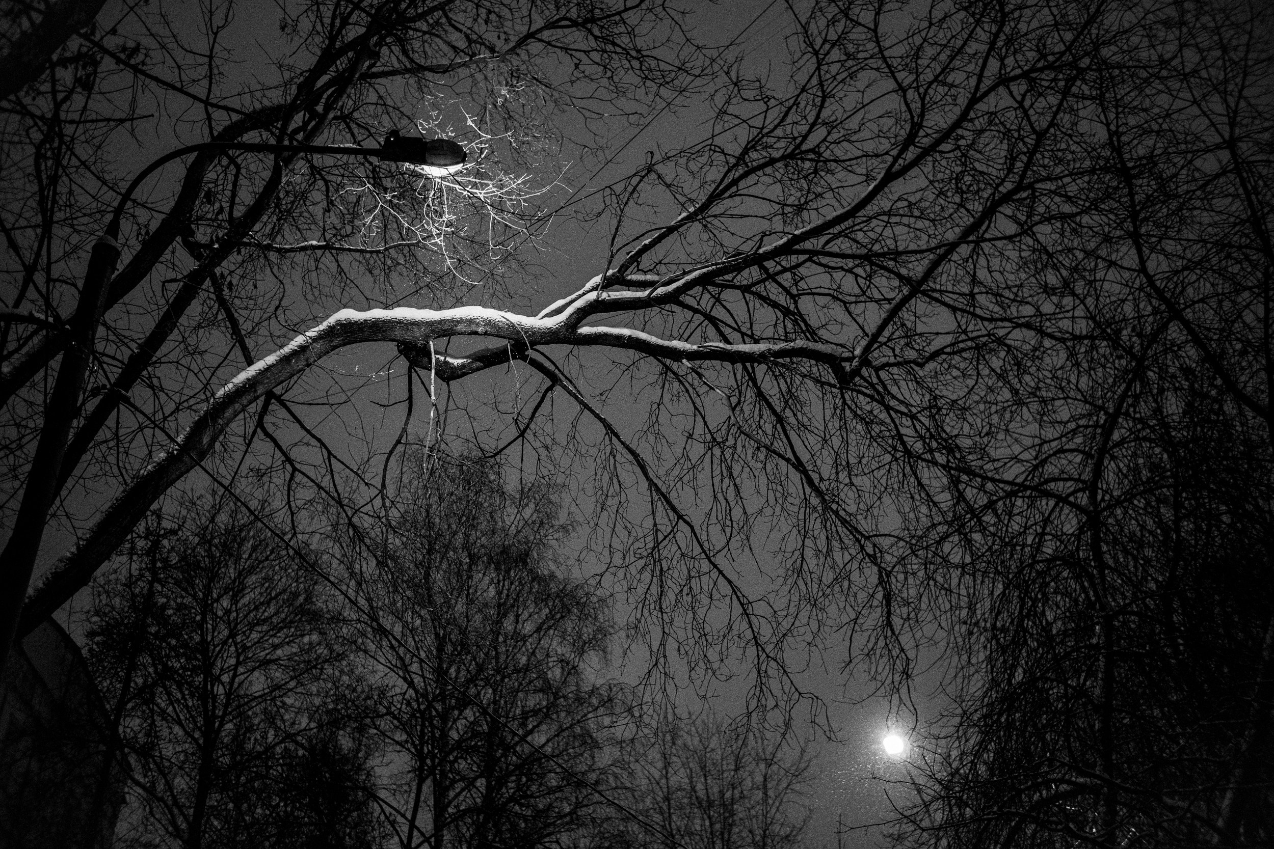 Моменты. Photographer Pavel Romashchenko