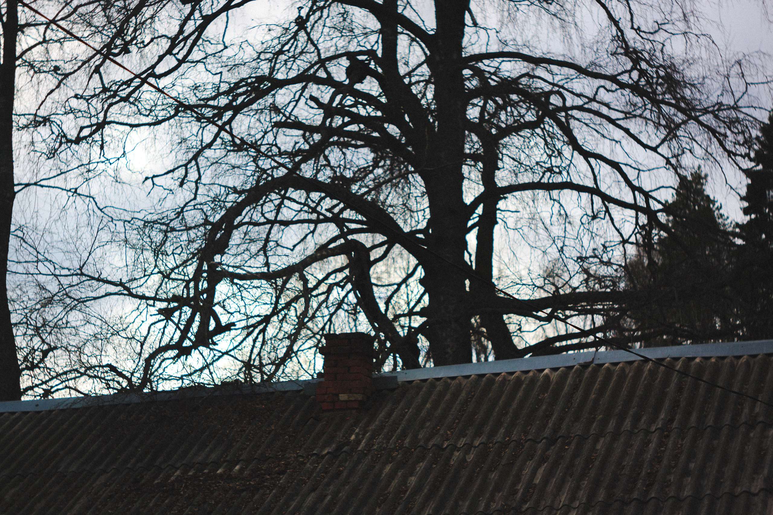 Деревня. Den Mirov — Photographer, Musician