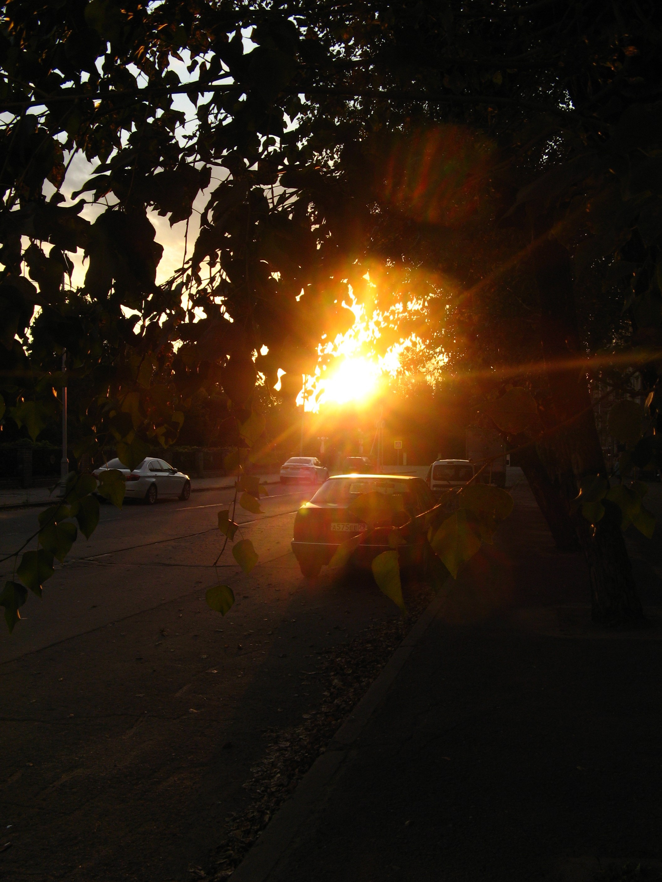 Сентябрь 2025. Den Mirov — Фотограф, Музыкант