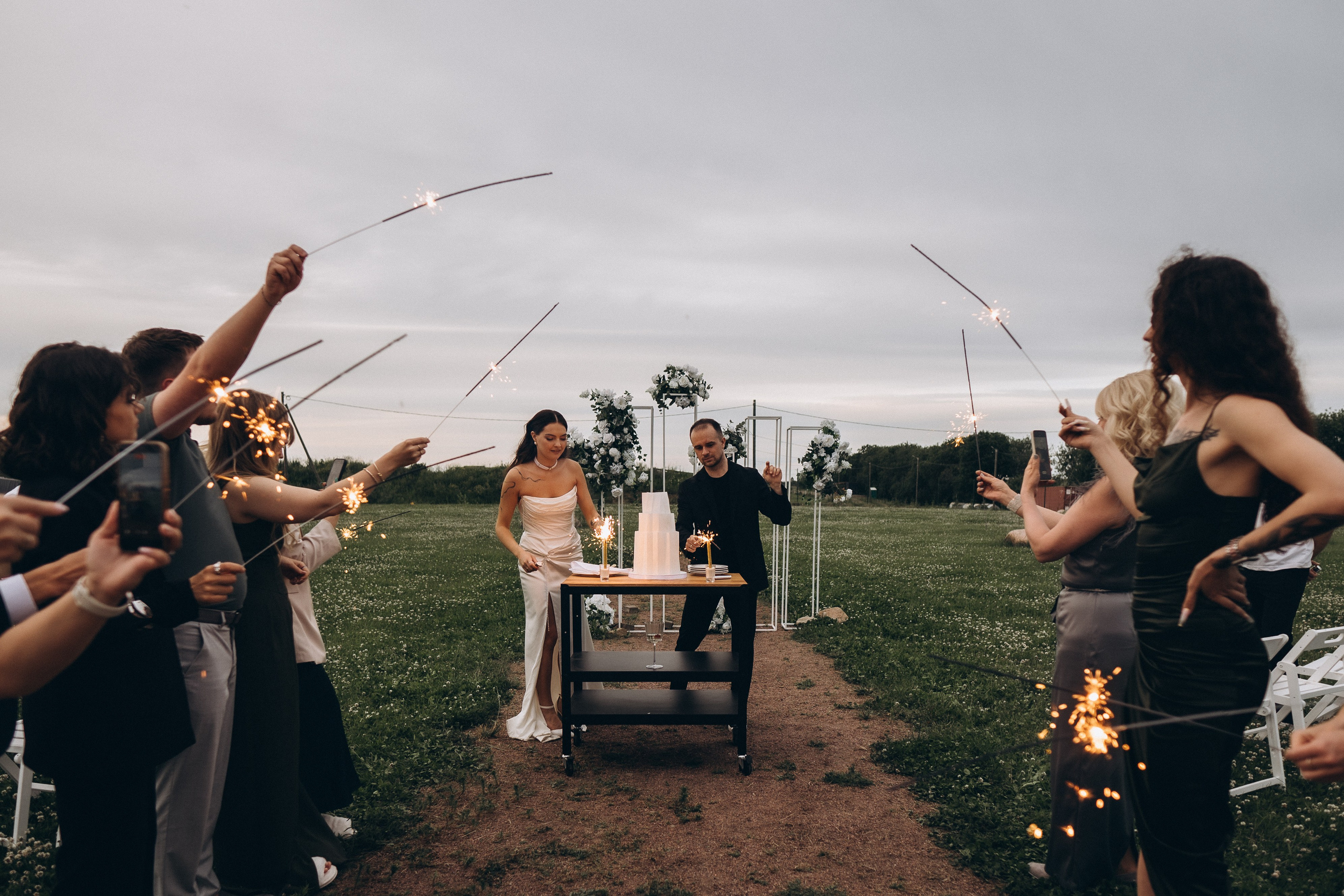 Выездная регистрация+банкет. Фотограф ПИТЕР СПБ Надежда Баранова