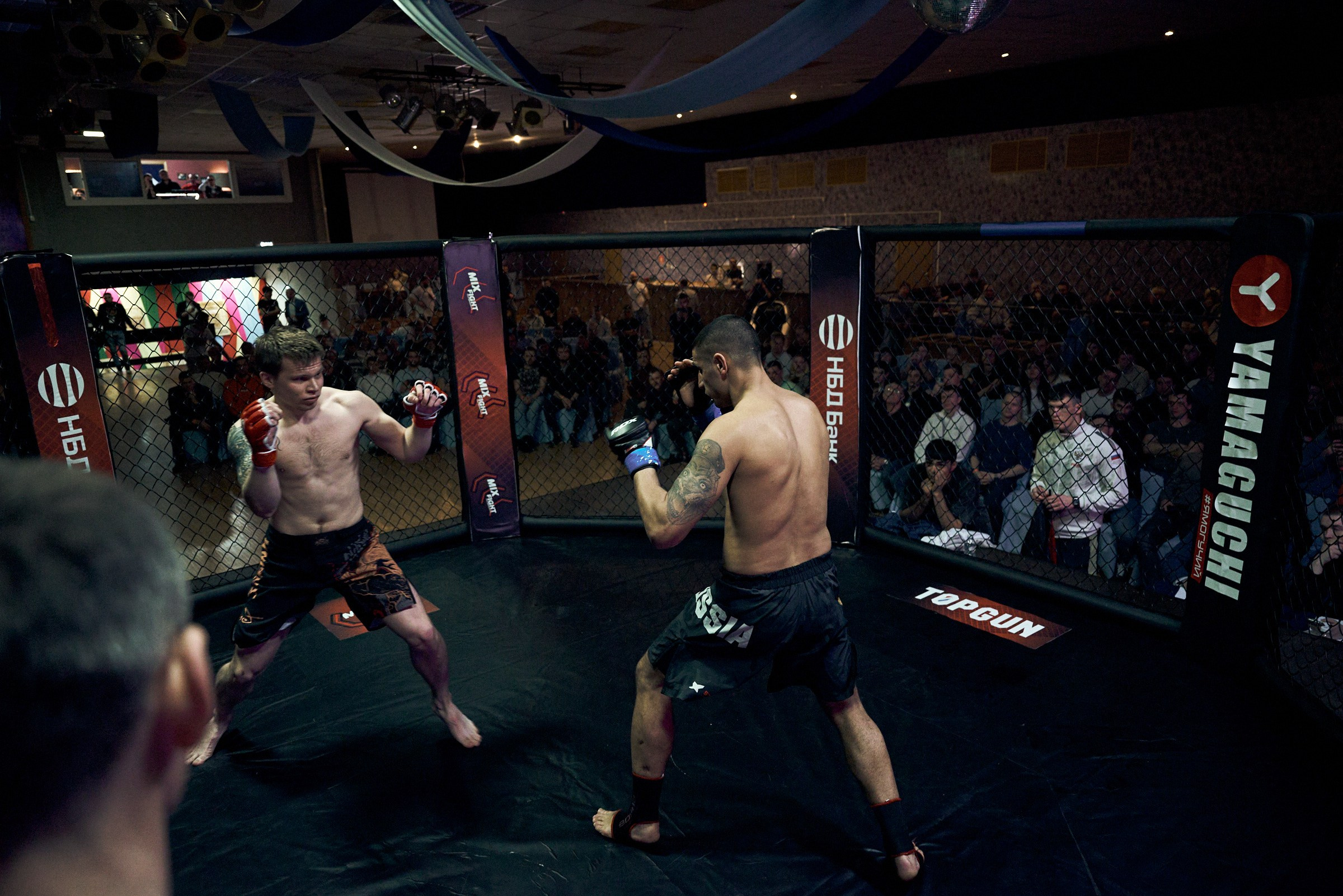 Бои. Маляревич Дмитрий свадебный фотограф