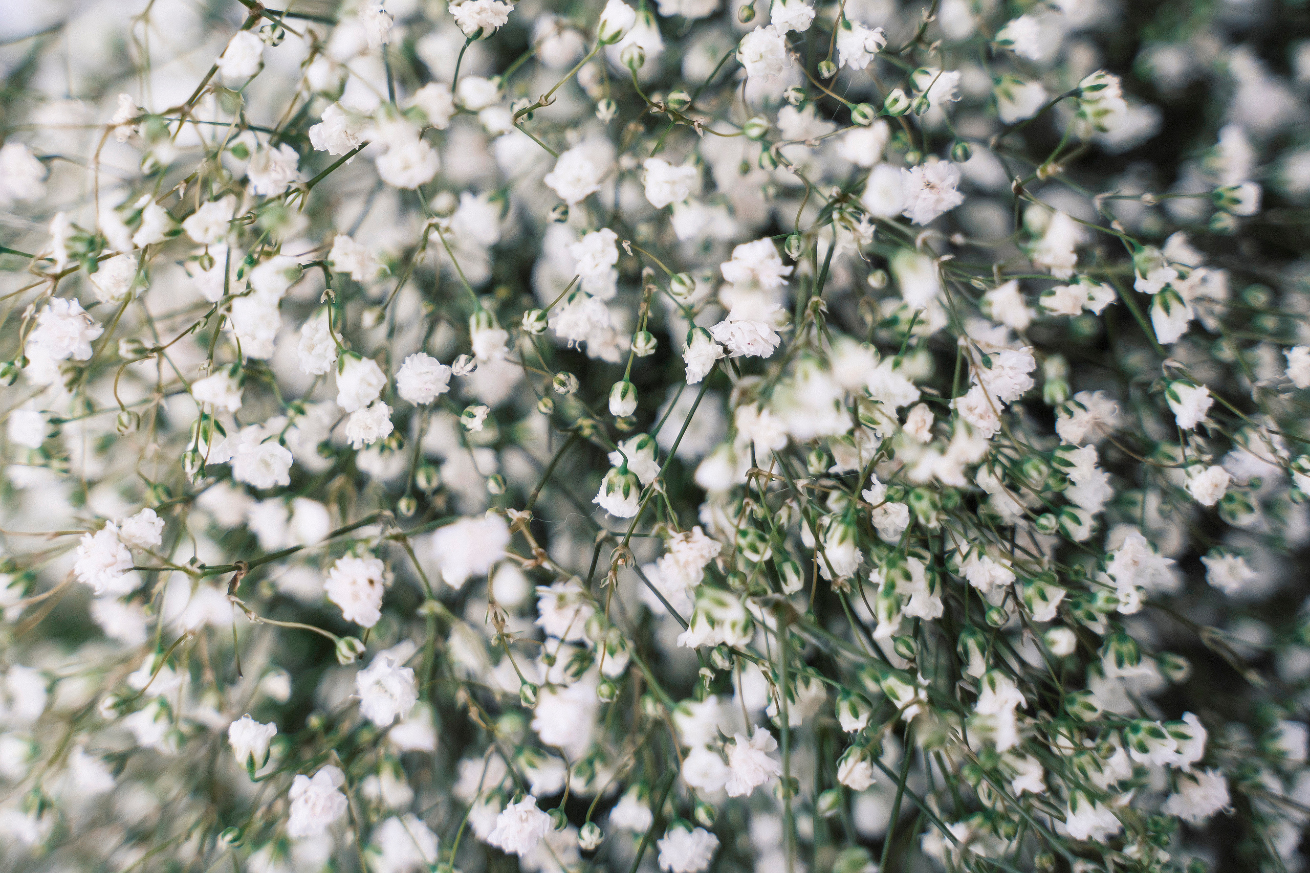 Егор & Юлия. Свадебный и семейный фотограф в Москве и МО Геннадий Туманцев