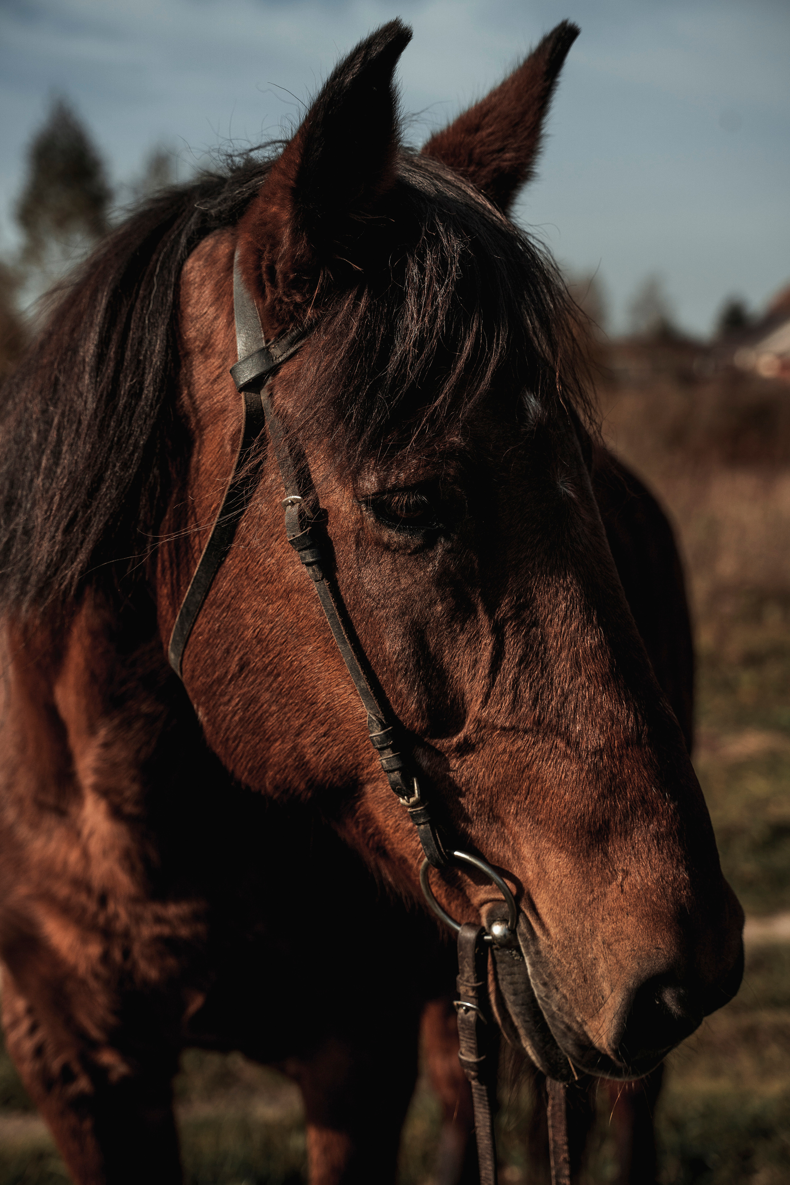 Анна. Свадебный и семейный фотограф в Москве и МО Геннадий Туманцев