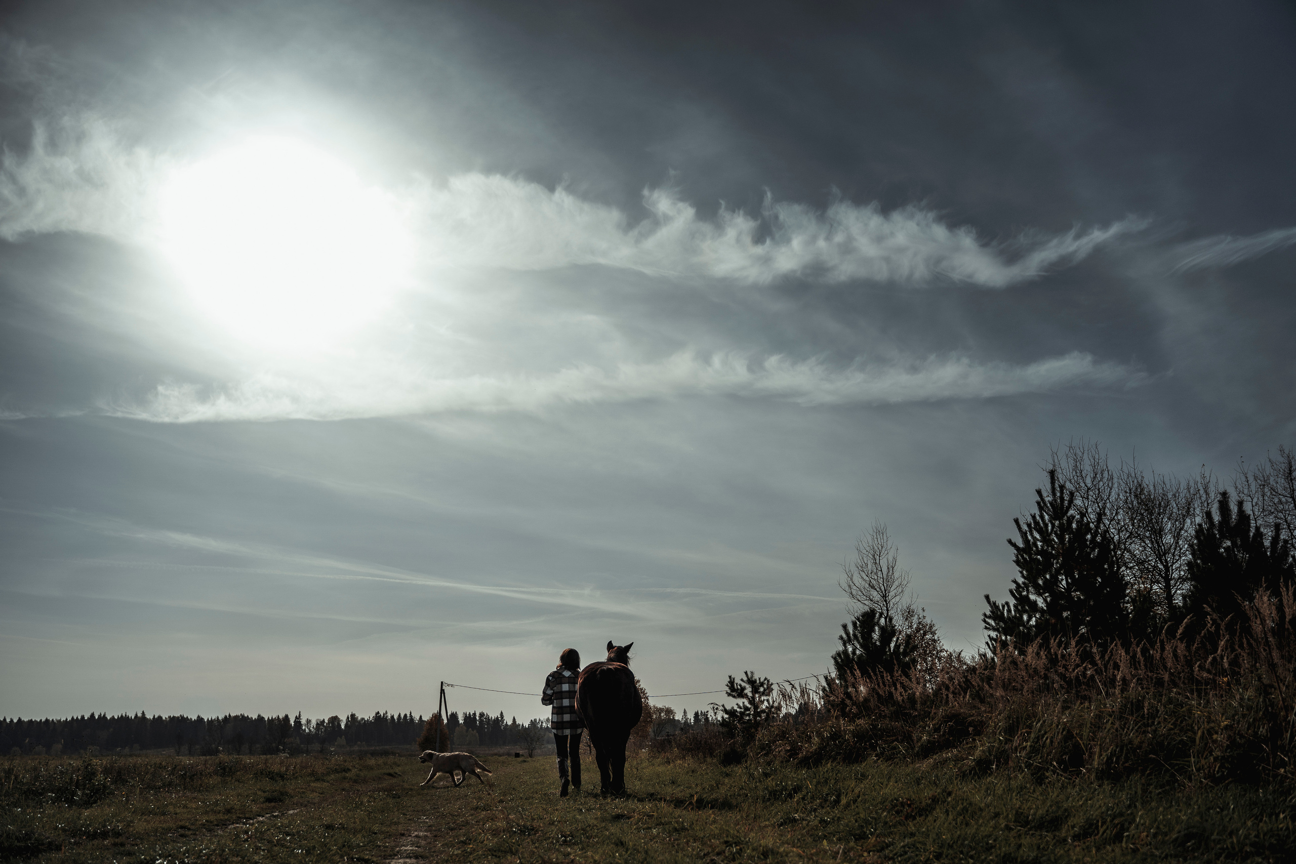 Анна. Свадебный и семейный фотограф в Москве и МО Геннадий Туманцев