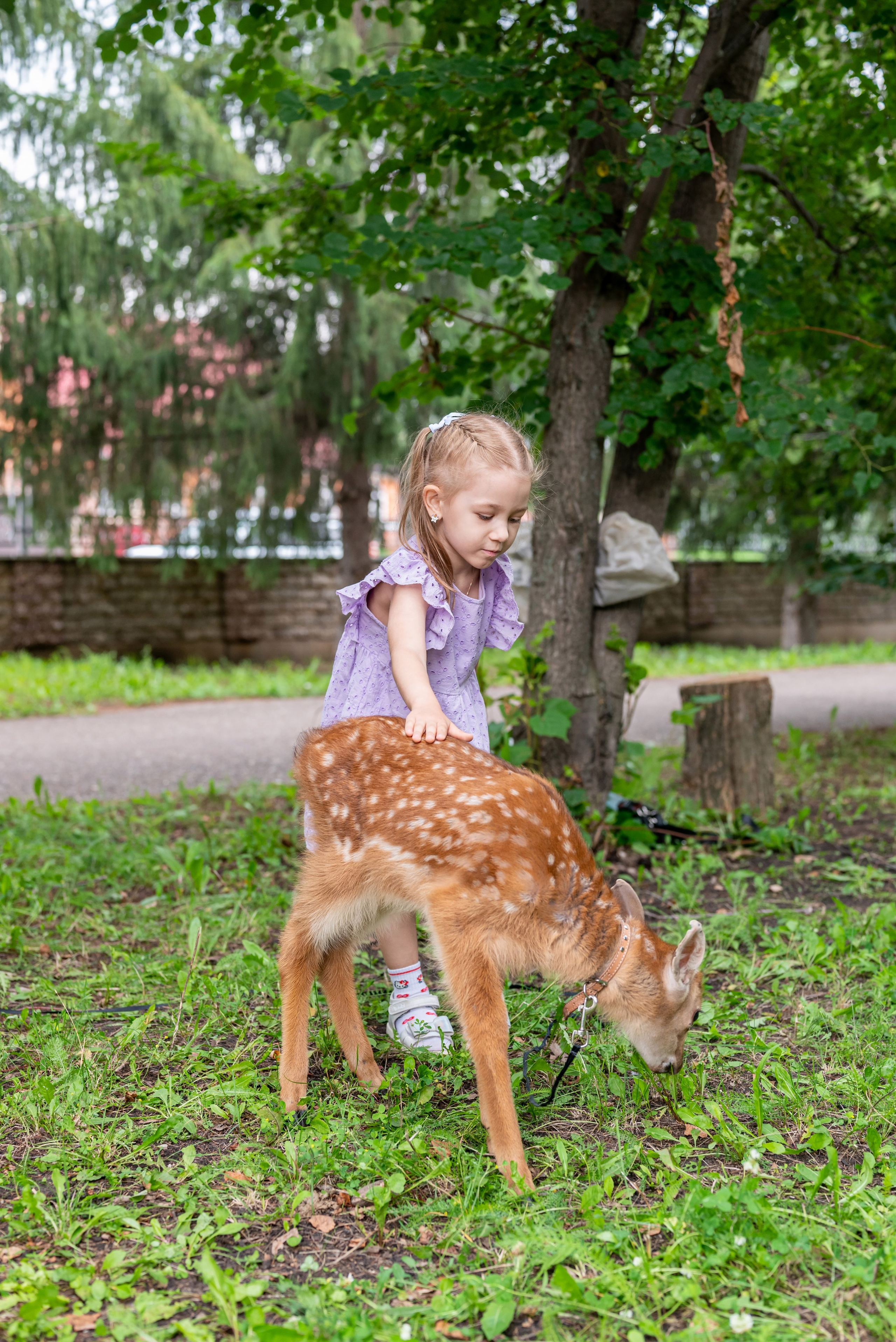 Фотопроект *Оленёнок Бэмби*. Фотограф в городе Салават