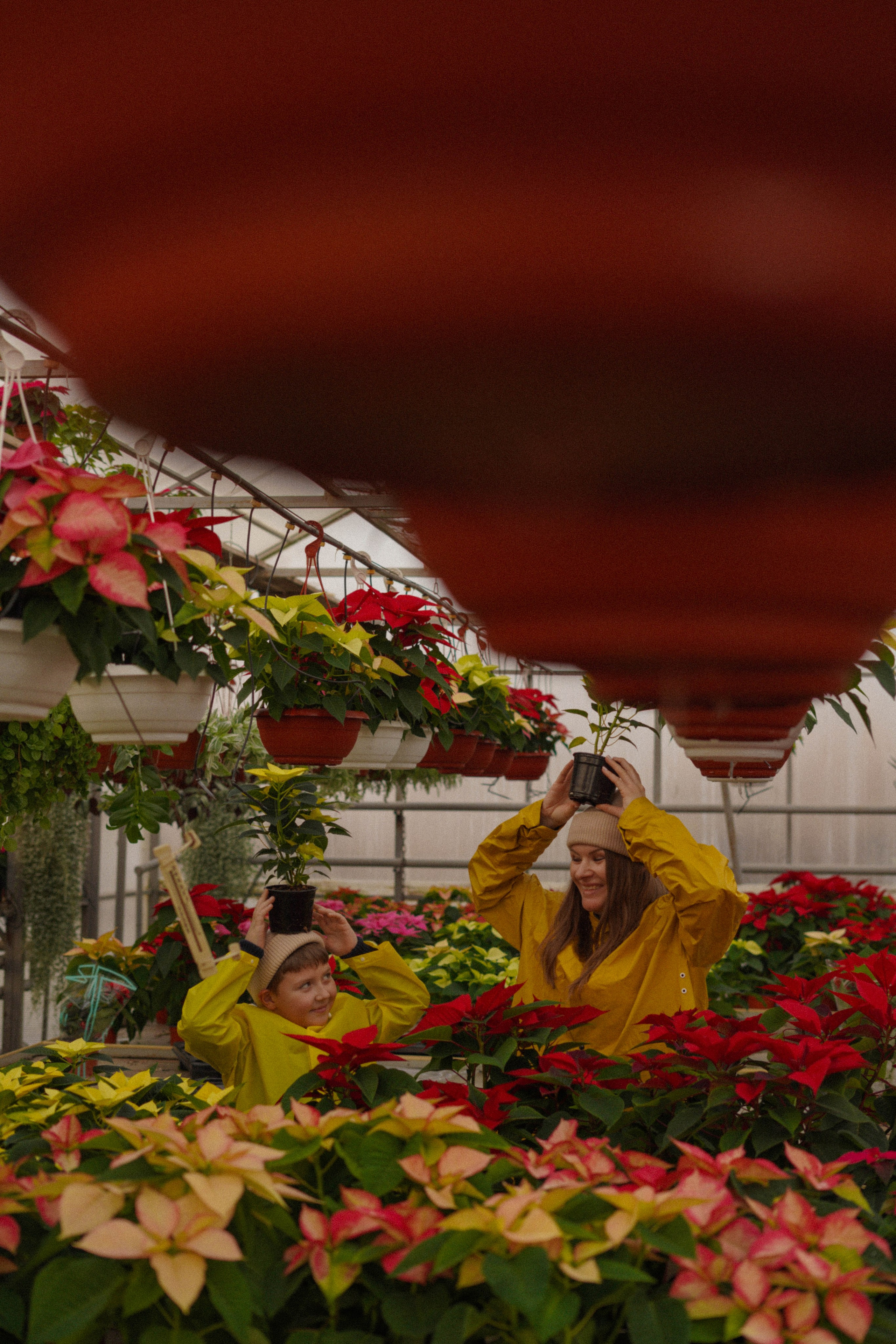 Осень и ее прелести. Свадебный и семейный фотограф Афанасьева Анна в Кисловодске