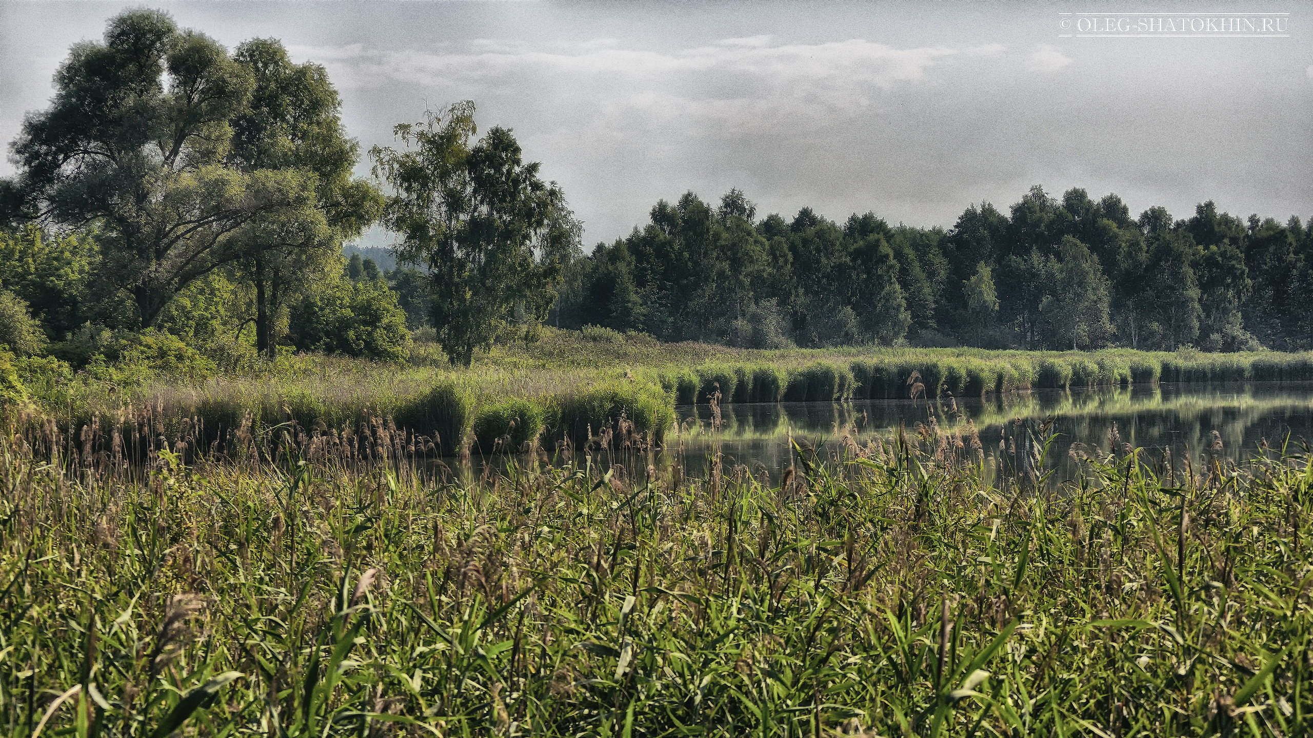 Пейзажи. Свадебный фотограф Олег Шатохин  Москва и Московской область