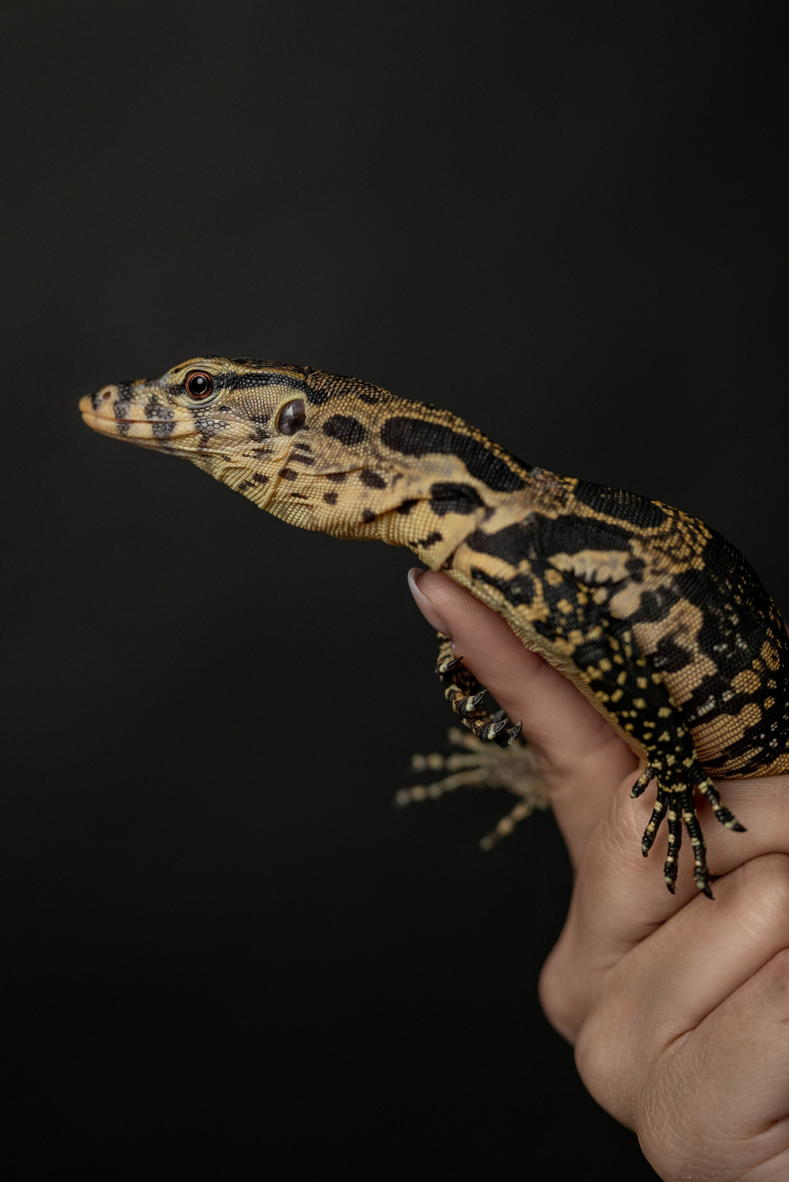 Кристина. Фотограф в городе Салават