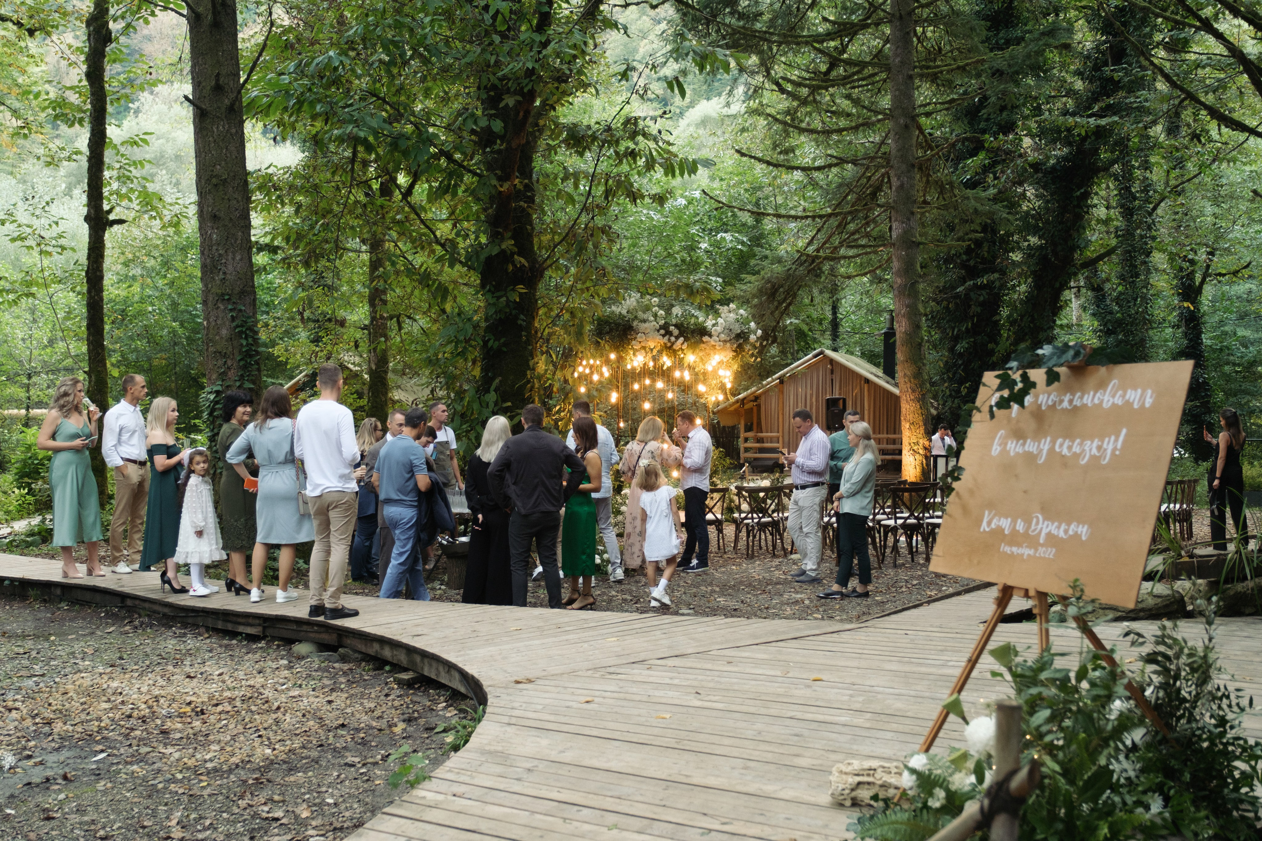 Кот и Дракон. Свадебный Видеограф Фотограф в Сочи