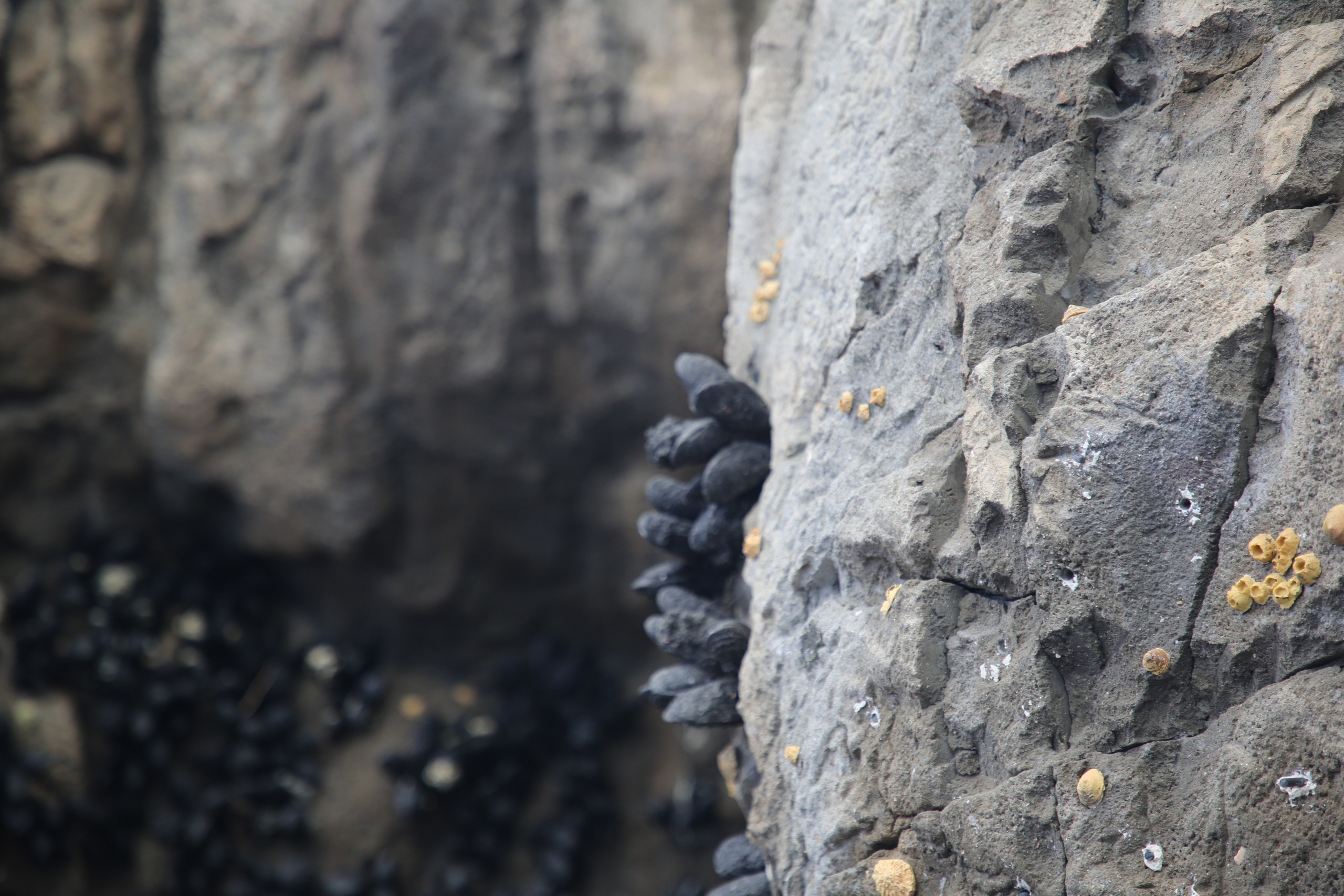 Lisbon, Portugal. Andrey Filippov Photographer