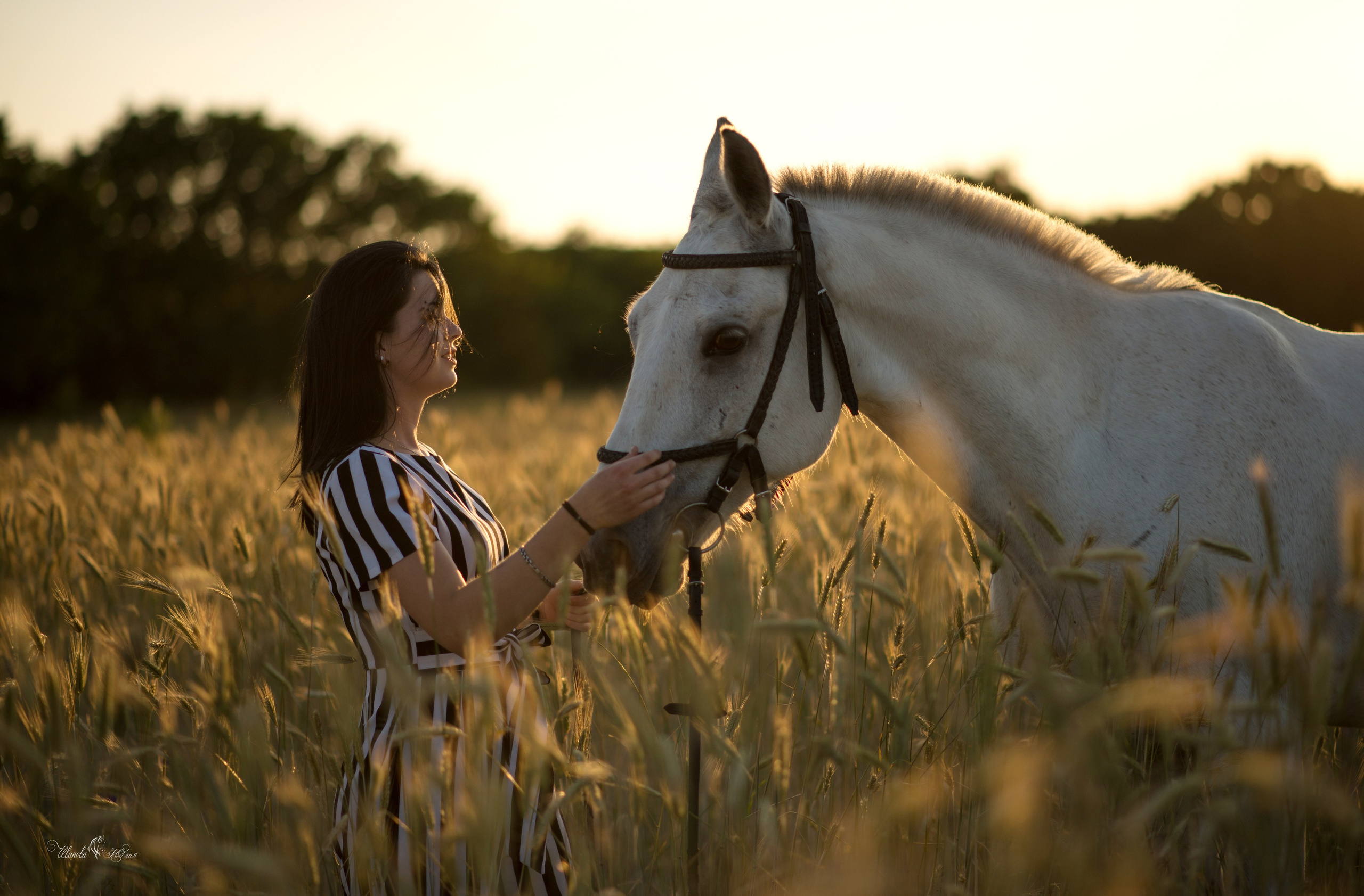 Кристина и Гипноз. Конный фотограф в Саратове Юлия Иванова