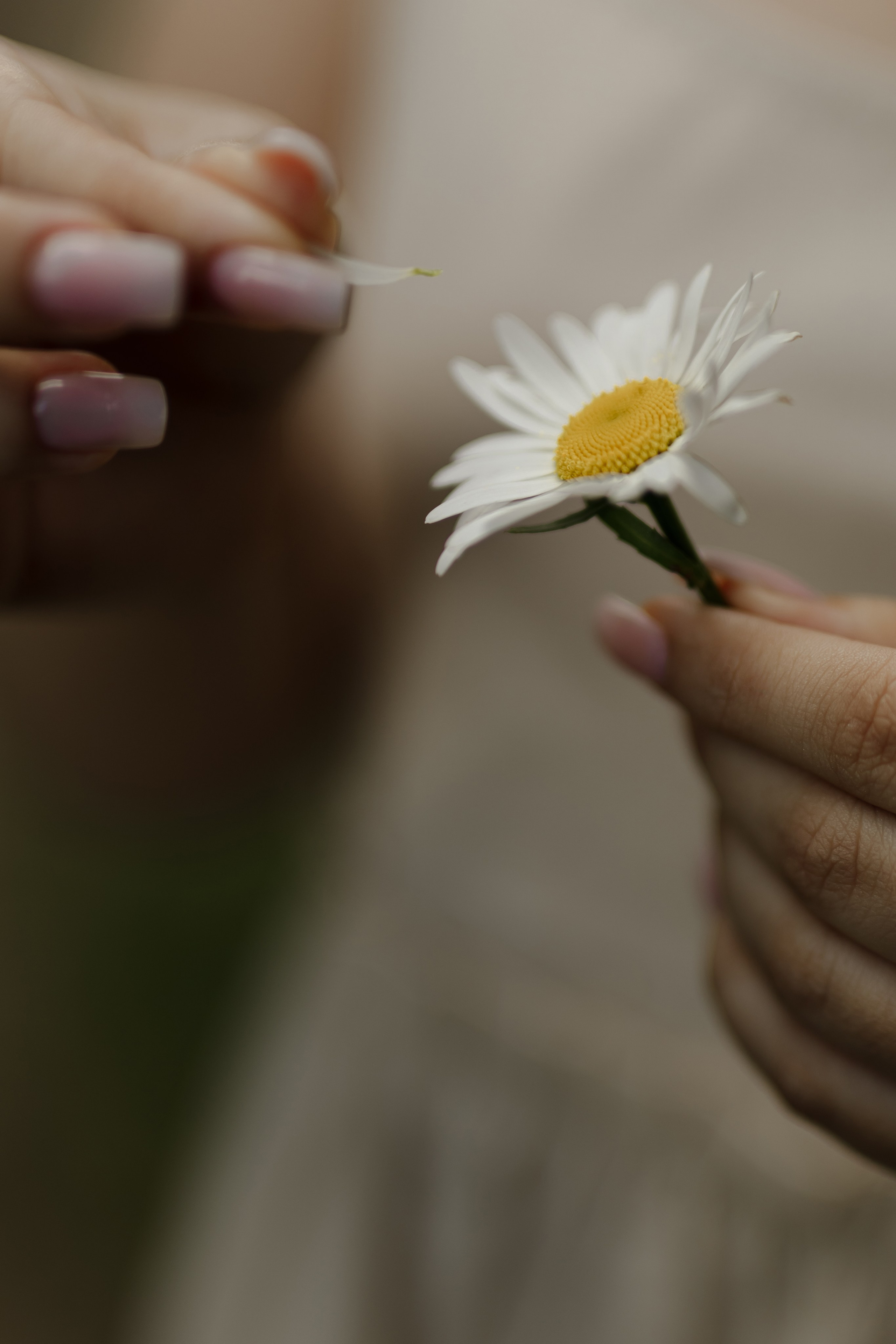 Свадьба Павла и Юлии. Фотограф Кольчугино/Владимир/Москва Елизавета Иода