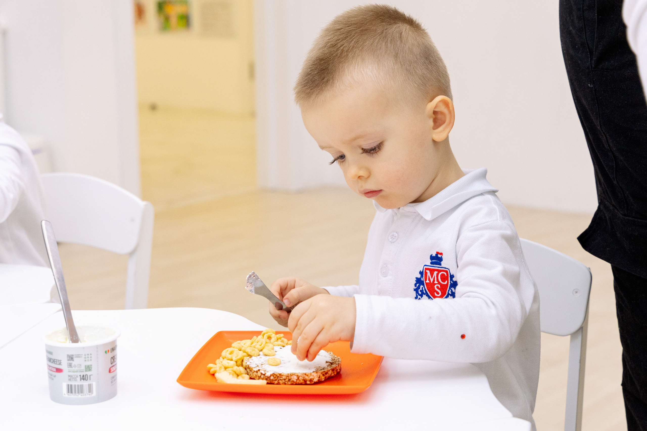 Сад и школа