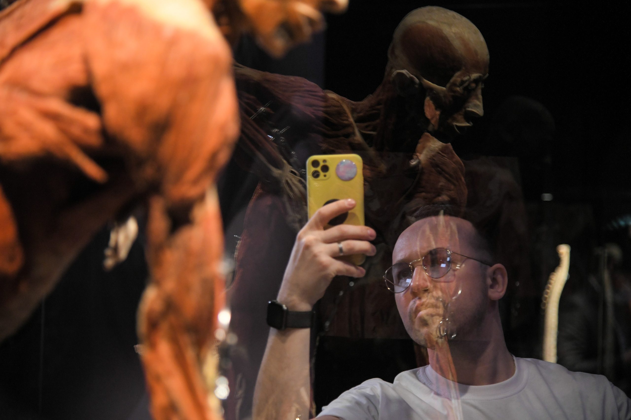 Выставки. Антон Великжанин — фотокорреспондент