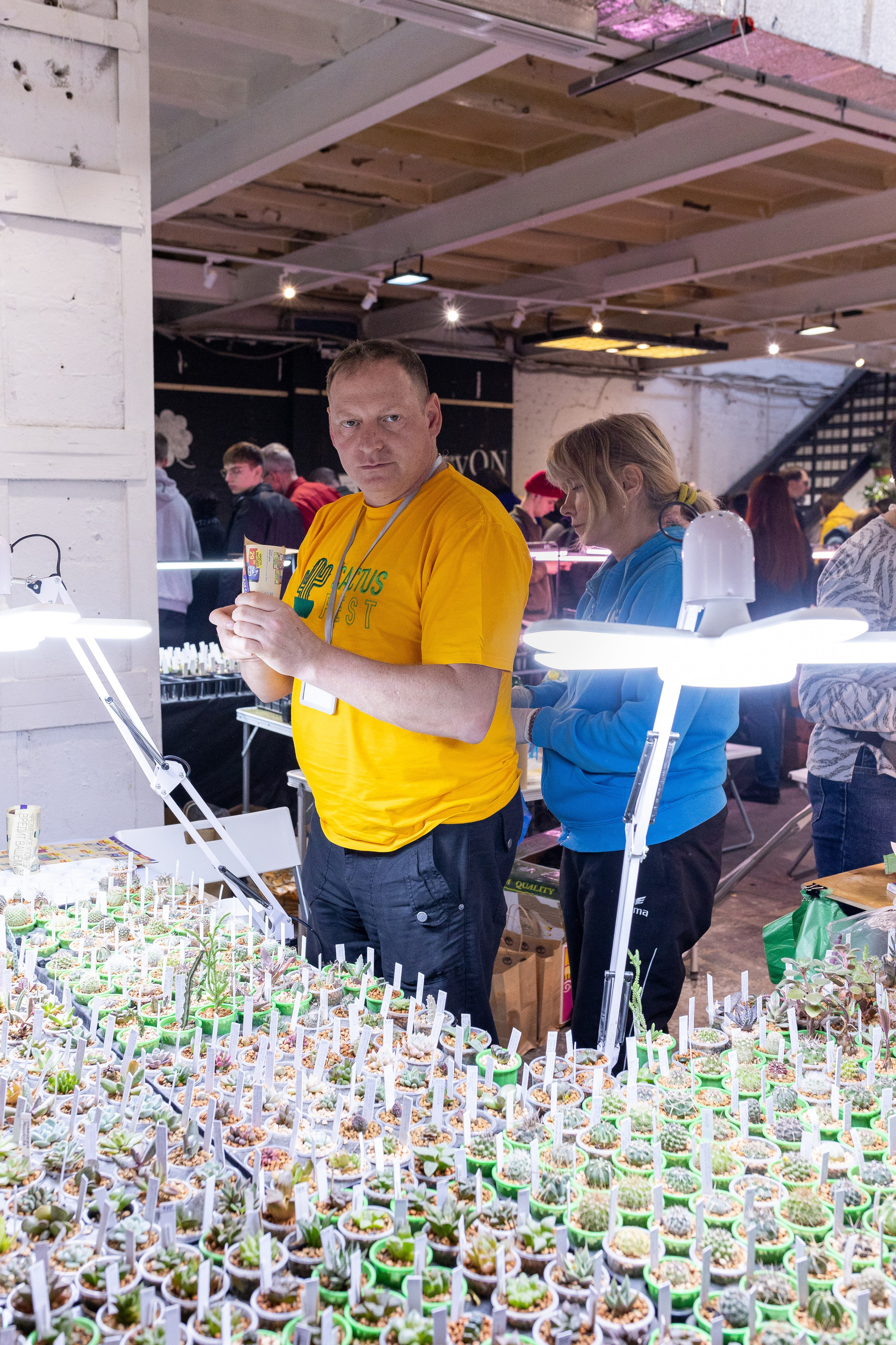 Meza market 2024. Александра Куликова фотограф, Москва