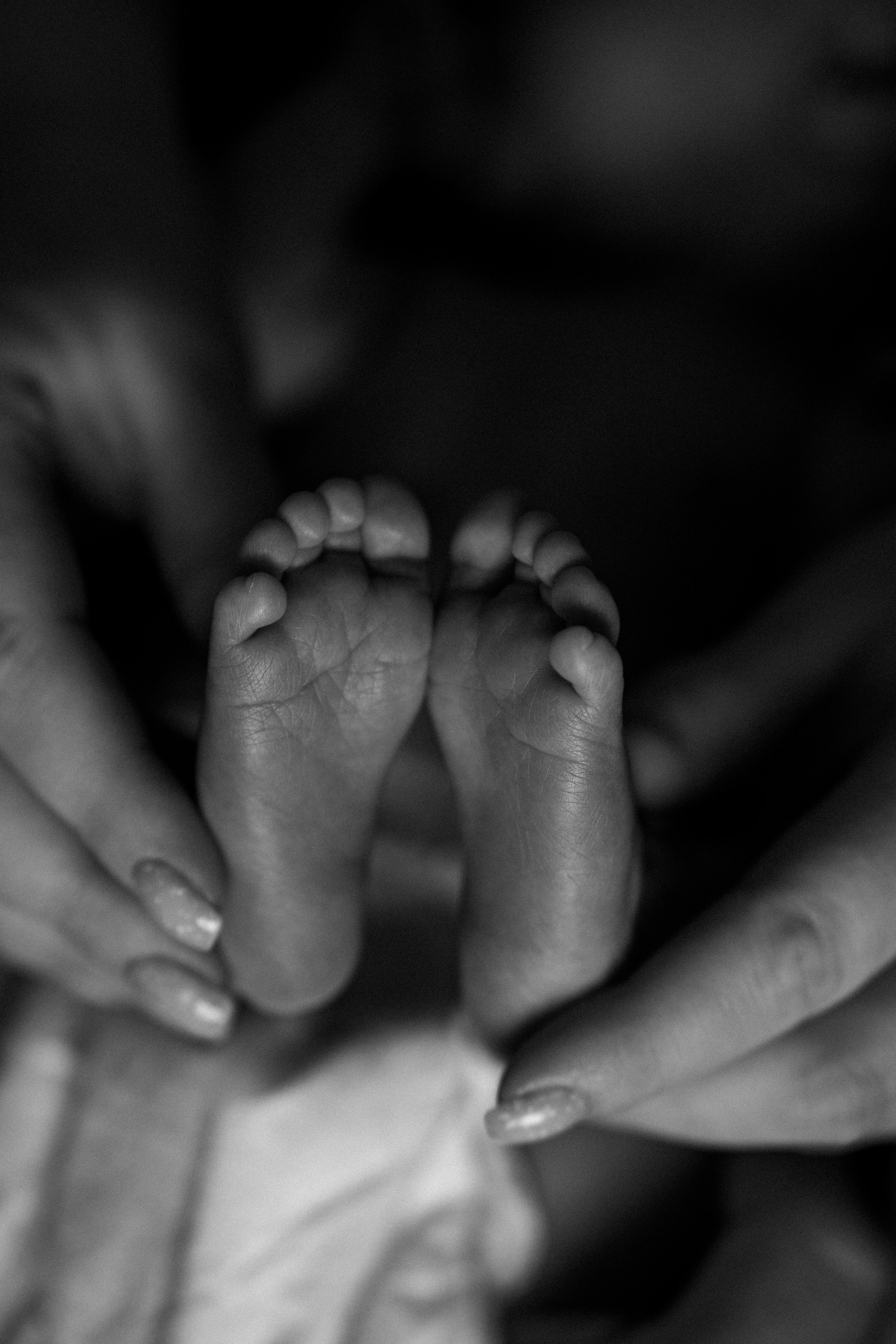 Петя с родителями, домашняя фотосессия. Фотограф Ольга Игорева