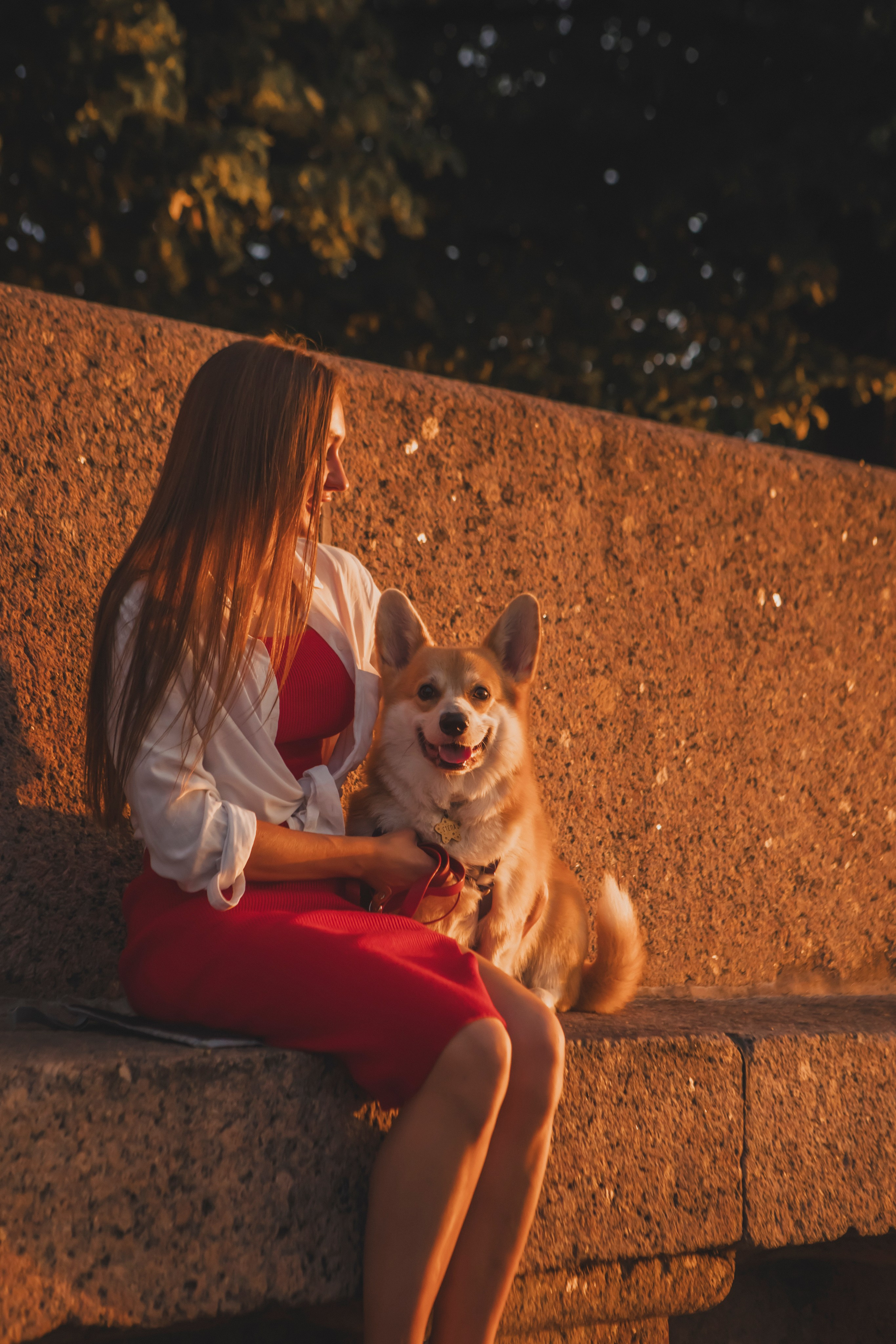 Настя и Стёпа. Фотограф-анималист в Санкт-Петербурге Алина Яхонт