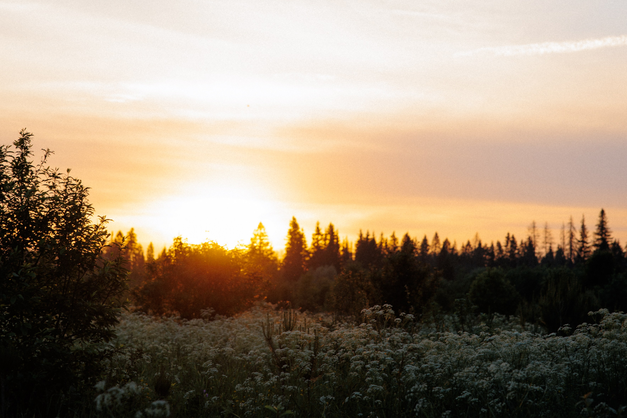 Sergey&Katya. Свадебный фотограф в Ижевске Диля Ахмадишина