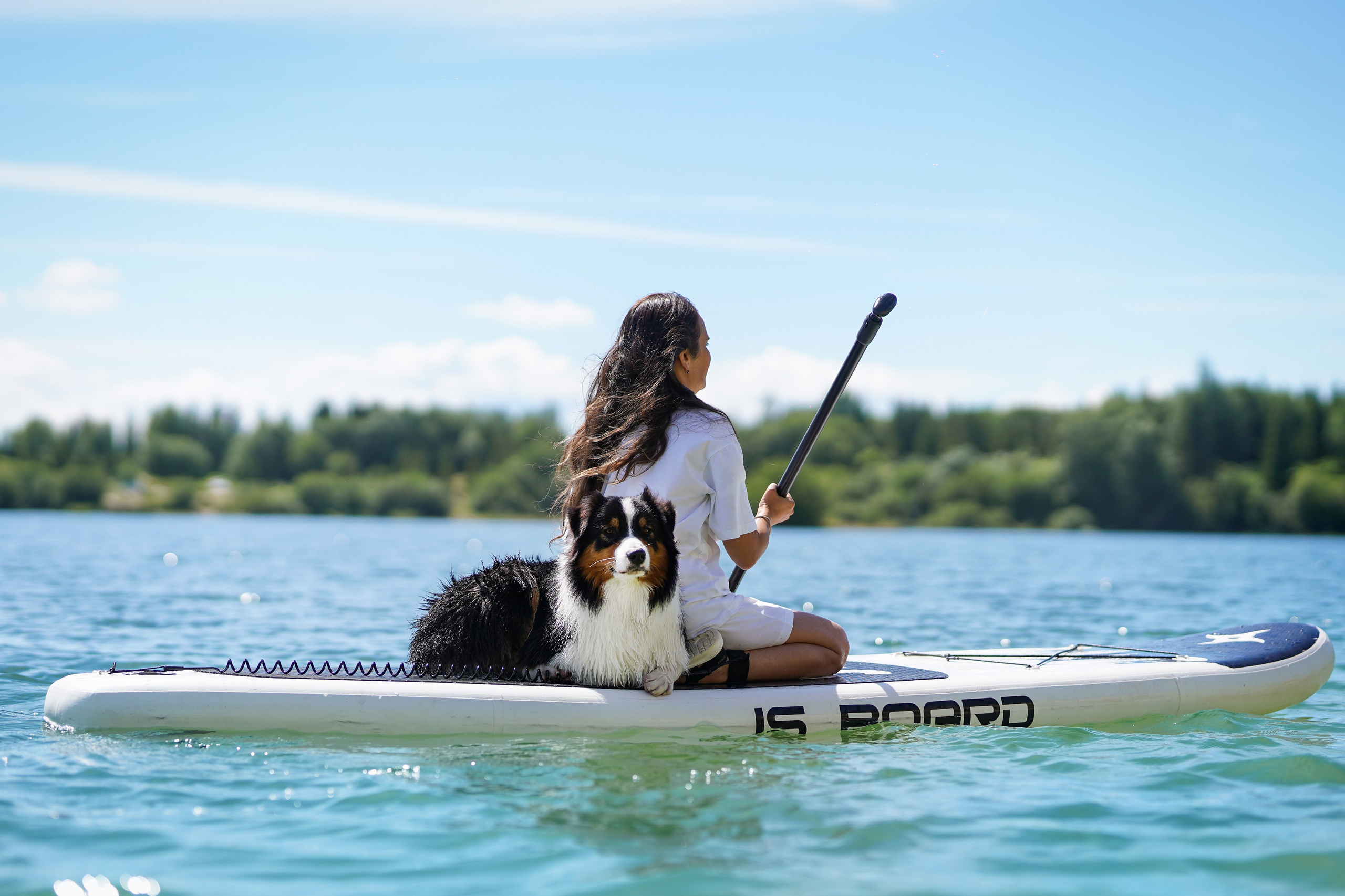Аусси на карьерах. Фотограф-анималист в Санкт-Петербурге Яна Мартынова