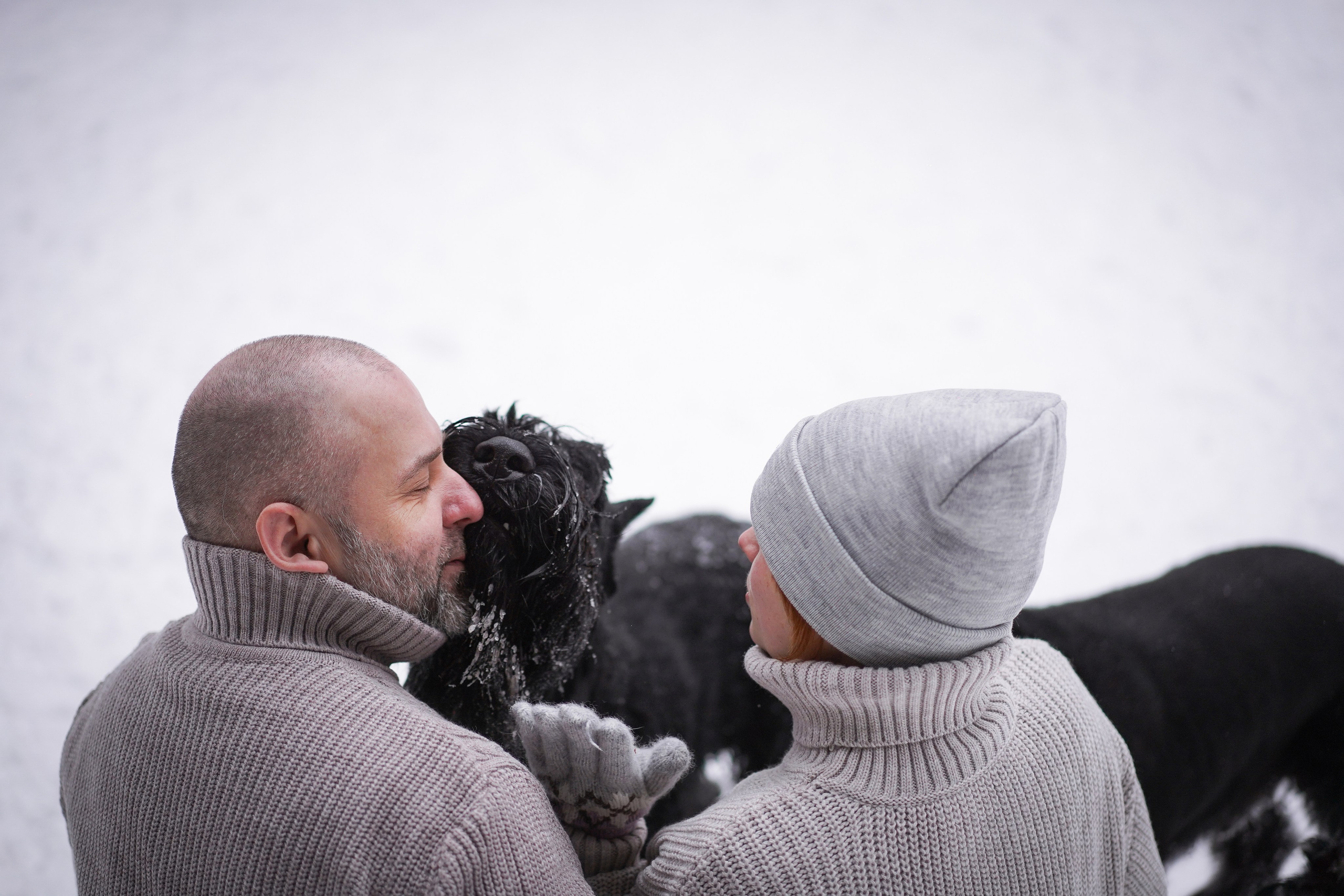 Оля Миша и шнауцеры. Фотограф-анималист в Санкт-Петербурге Яна Мартынова