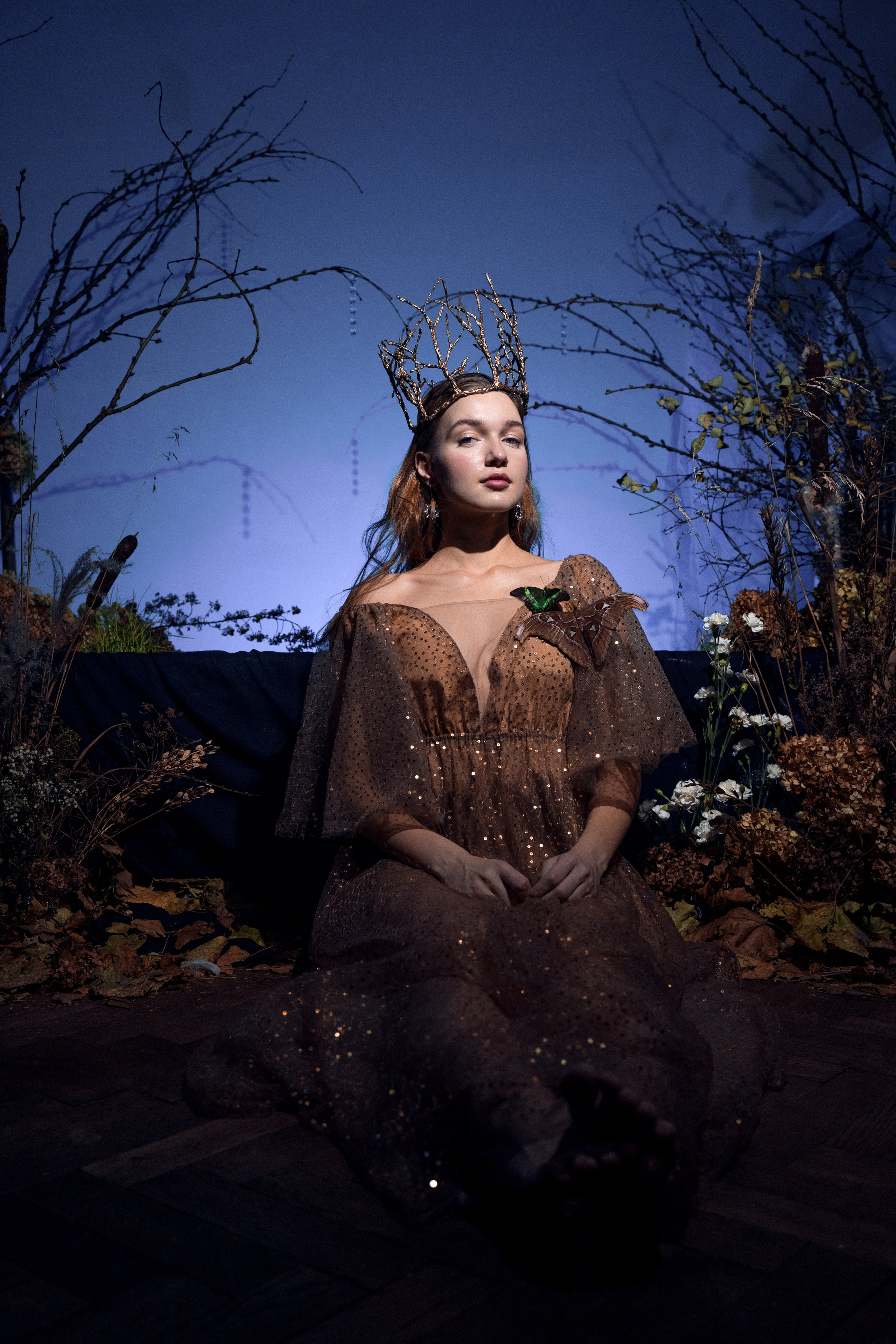 Фейский Альбом