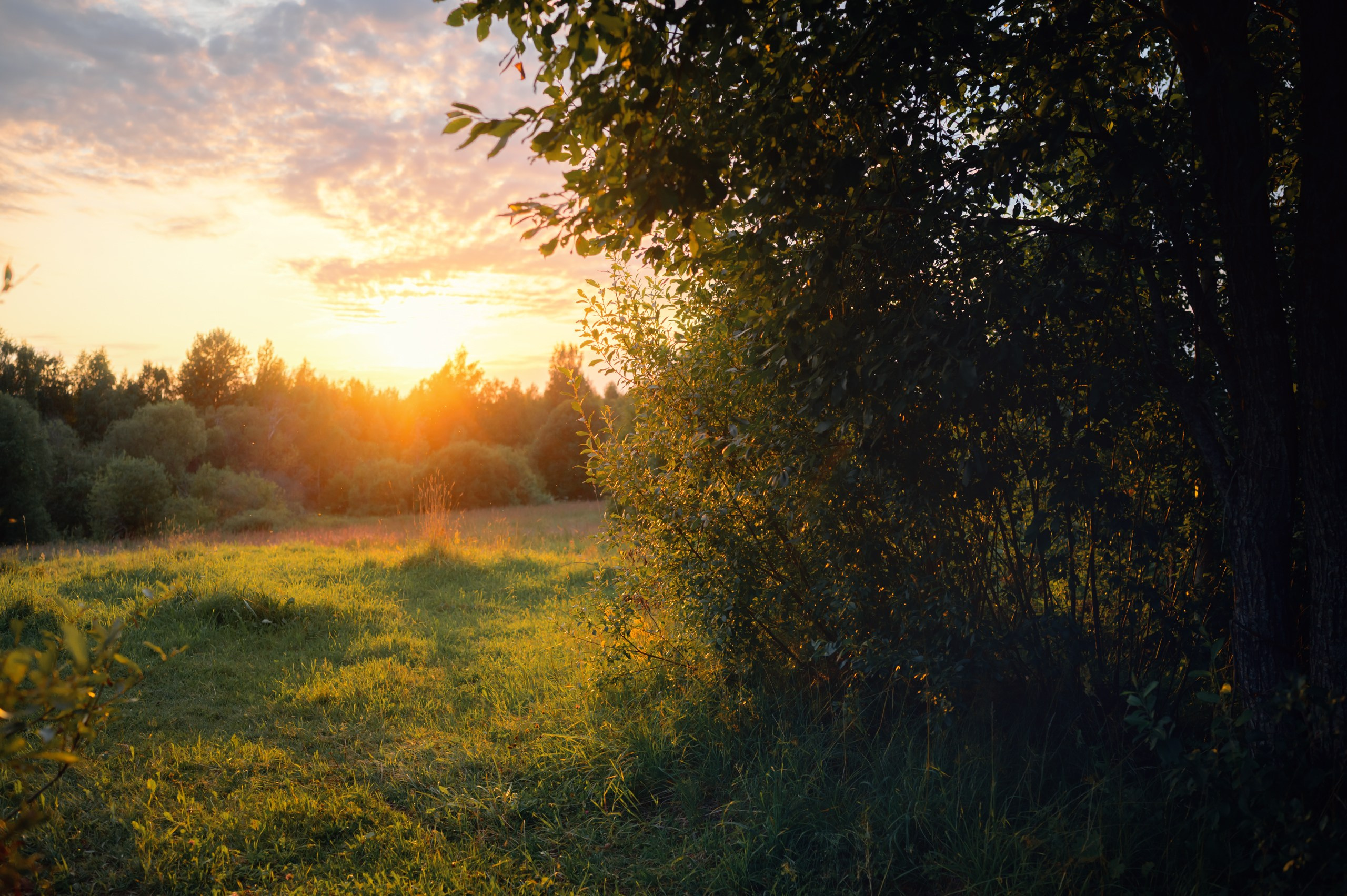 Карелия. Komonev
