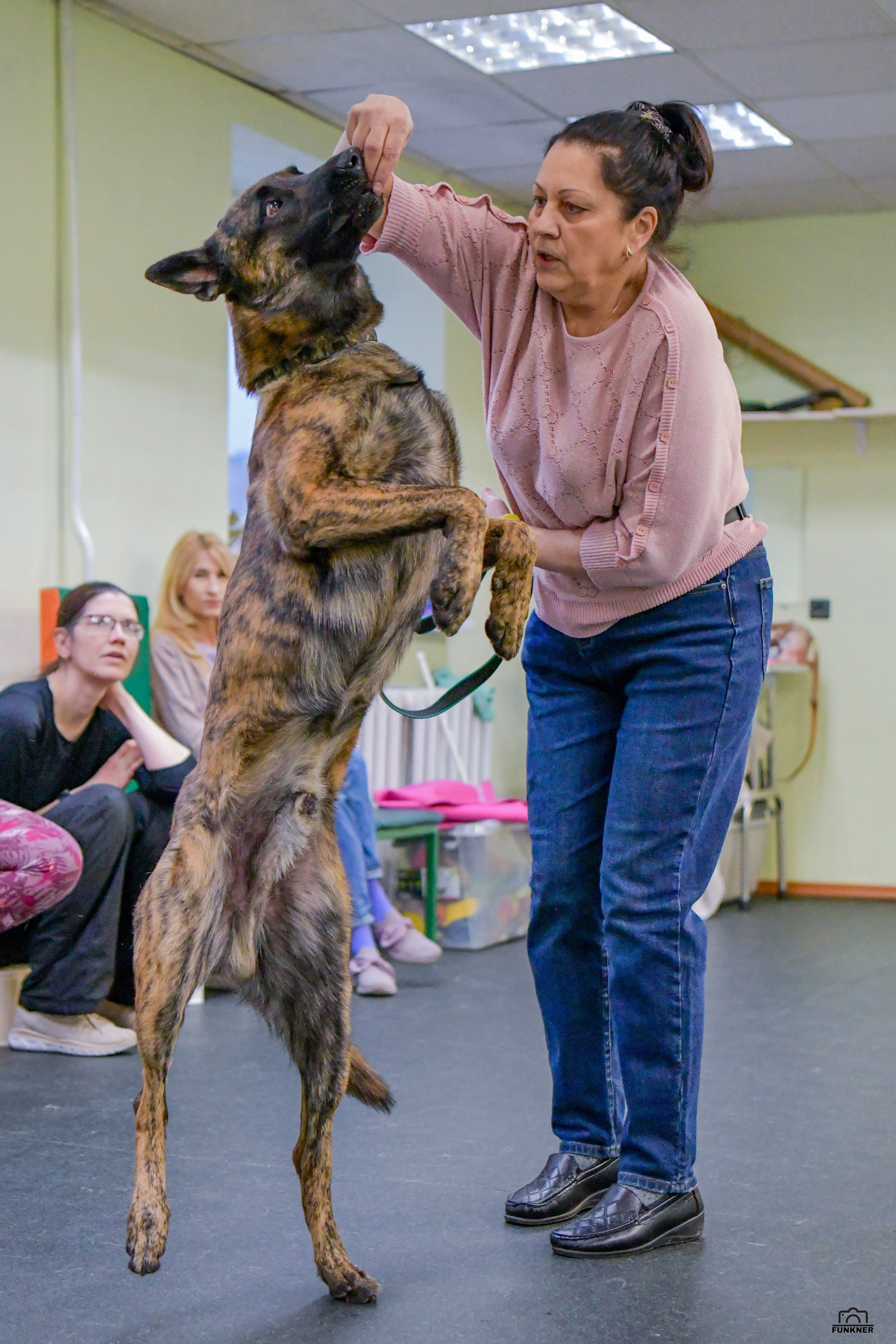 Кинологический клуб «Бодрый хвост». Свой взгляд через объектив