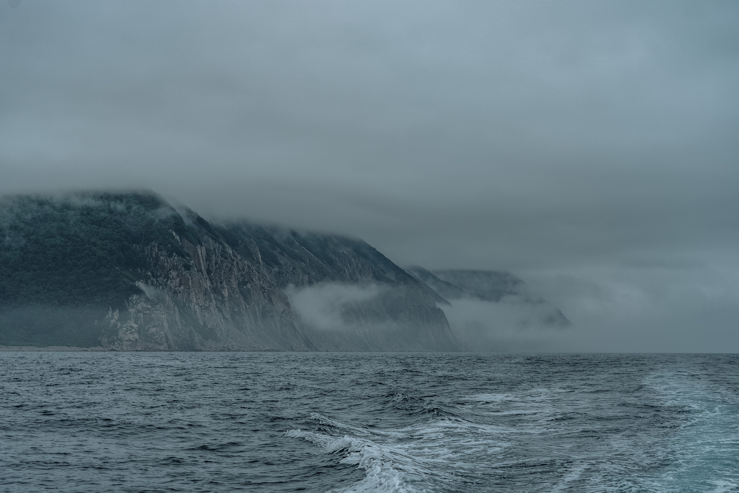 Сихотэ-Алинский заповедник, Приморский край. Репортажный фотограф в Крыму Ксения Гасица