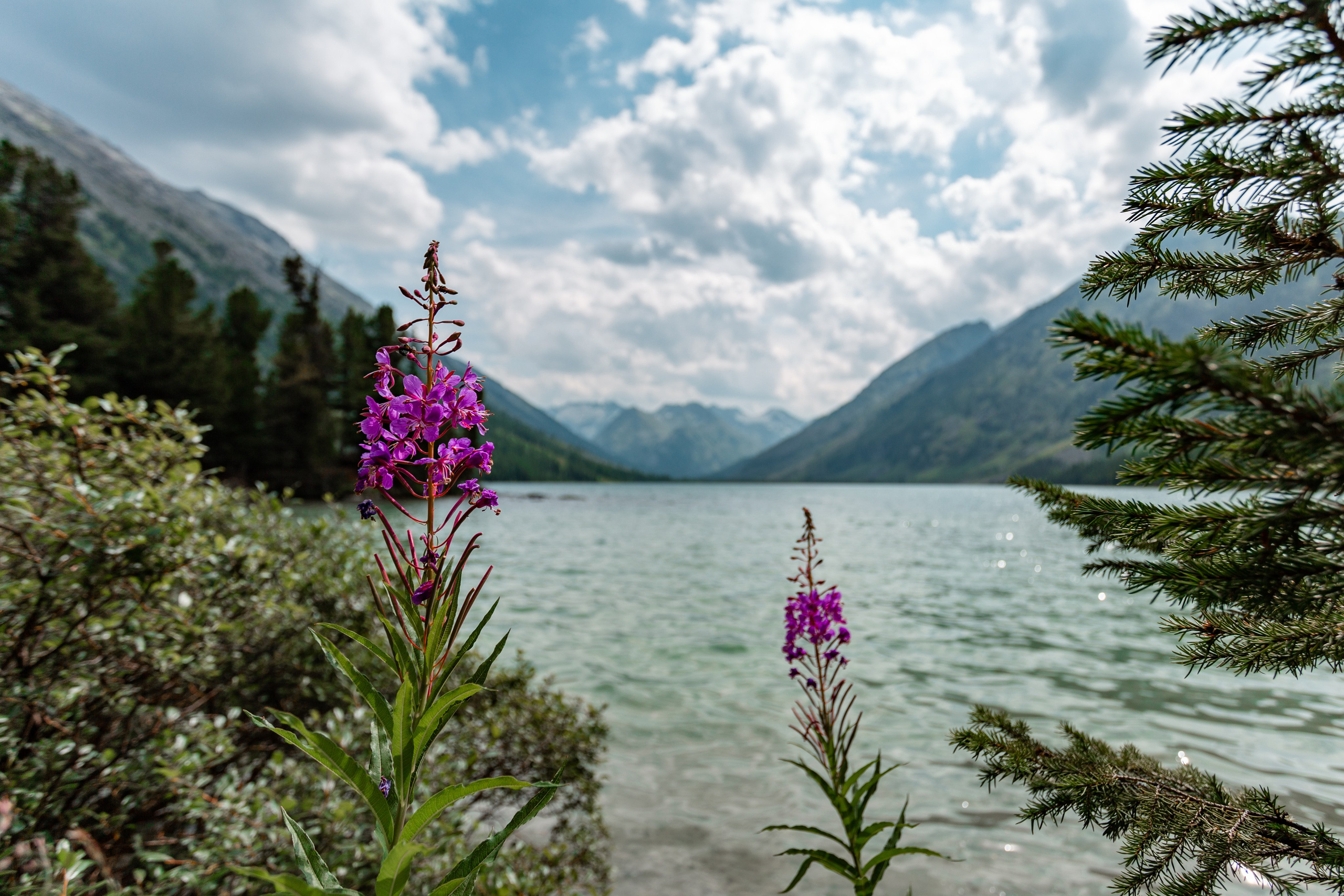 Катунский заповедник, Республика Алтай. Репортажный фотограф в Крыму Ксения Гасица