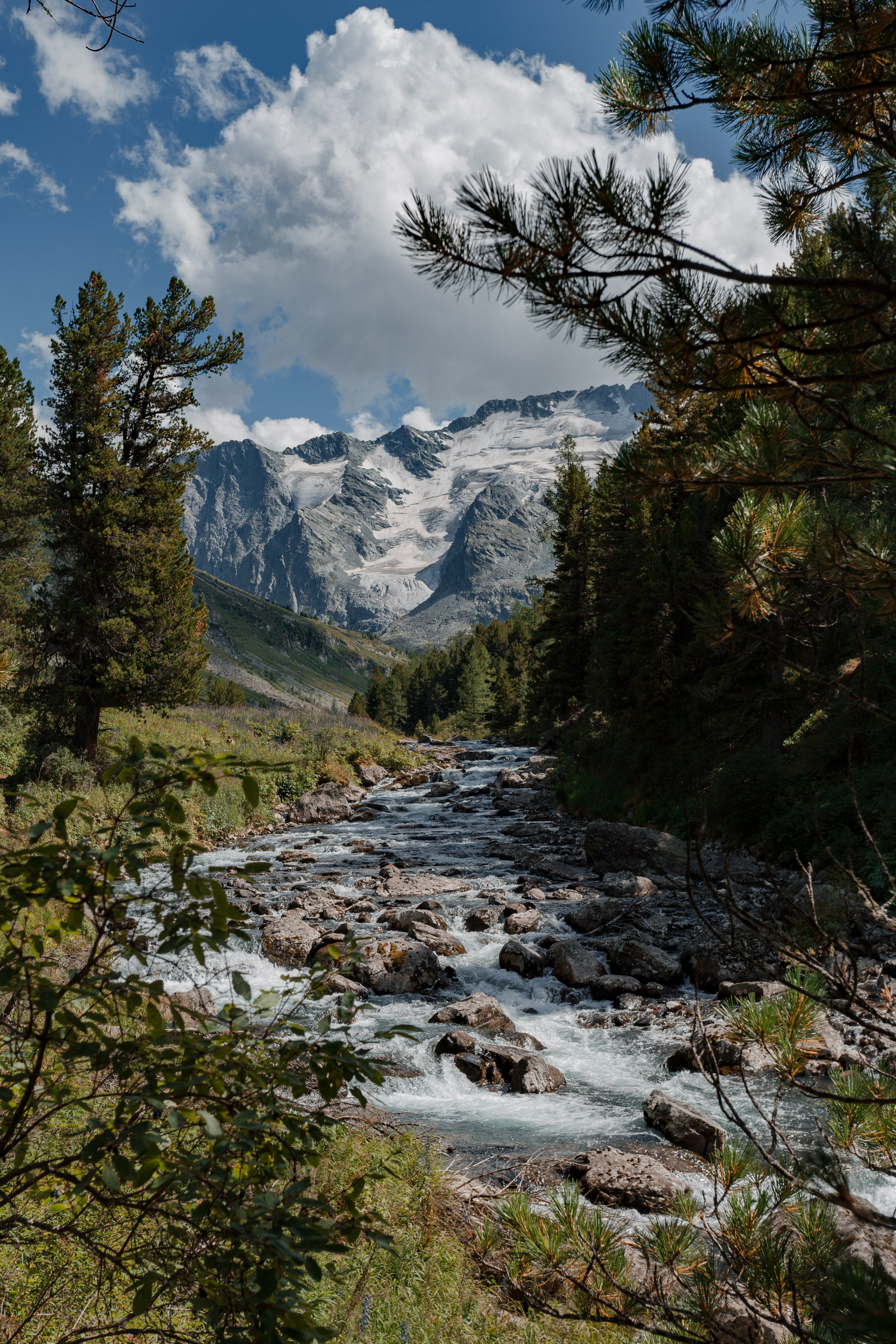 Катунский заповедник, Республика Алтай. Репортажный фотограф в Крыму Ксения Гасица
