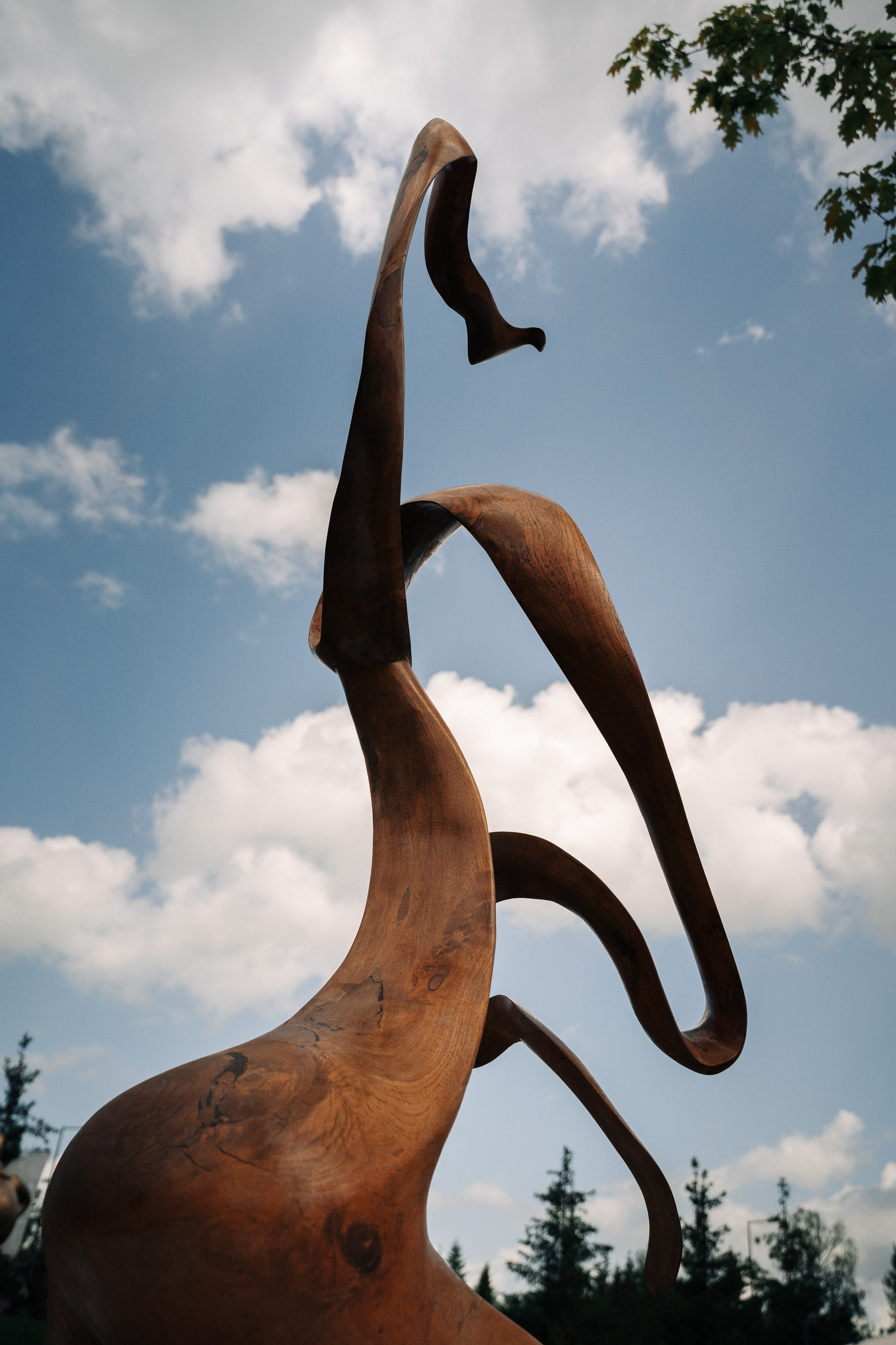 Магия Востока в Emerald Stables. Свадебный и семейный фотограф в Москве и МО Геннадий Туманцев