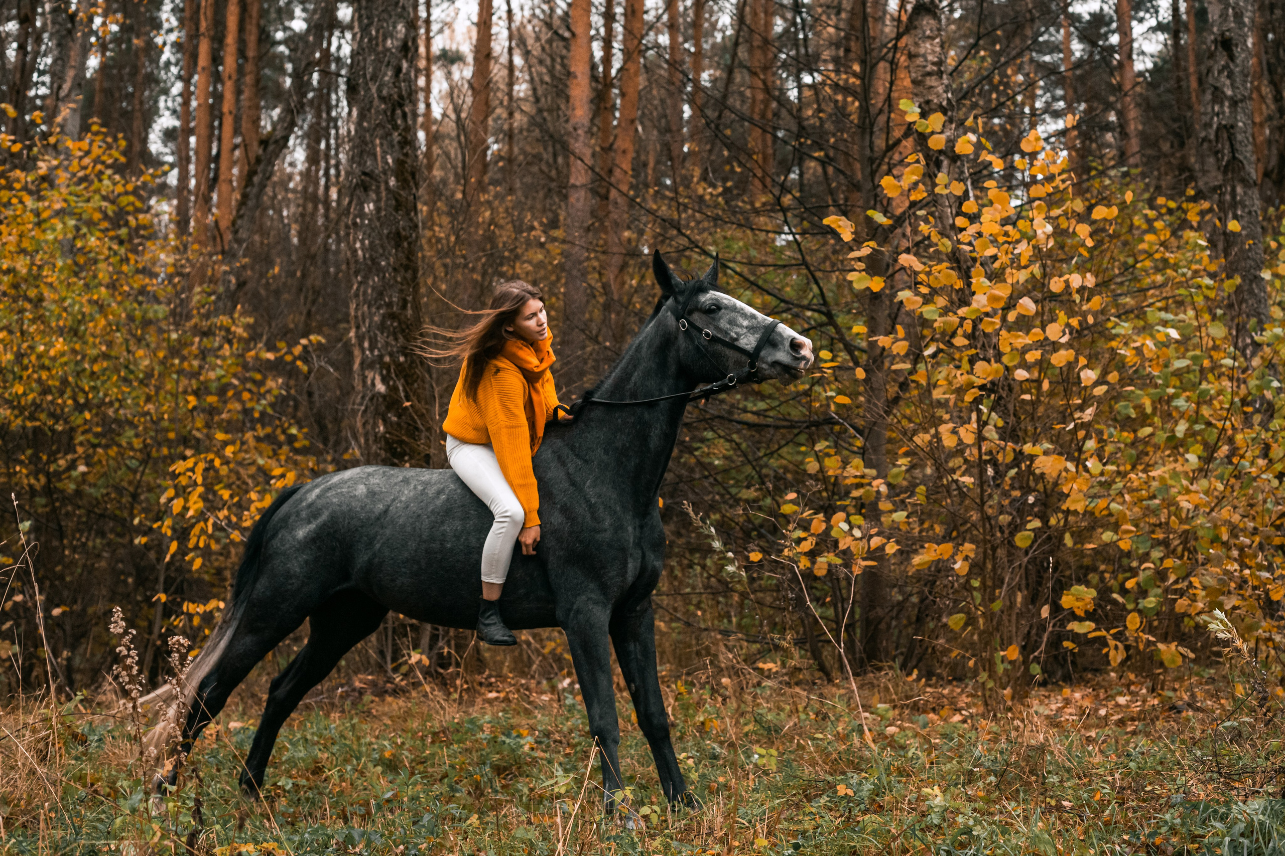 Аня и Джози. Фотограф-анималист Татьяна Степанова