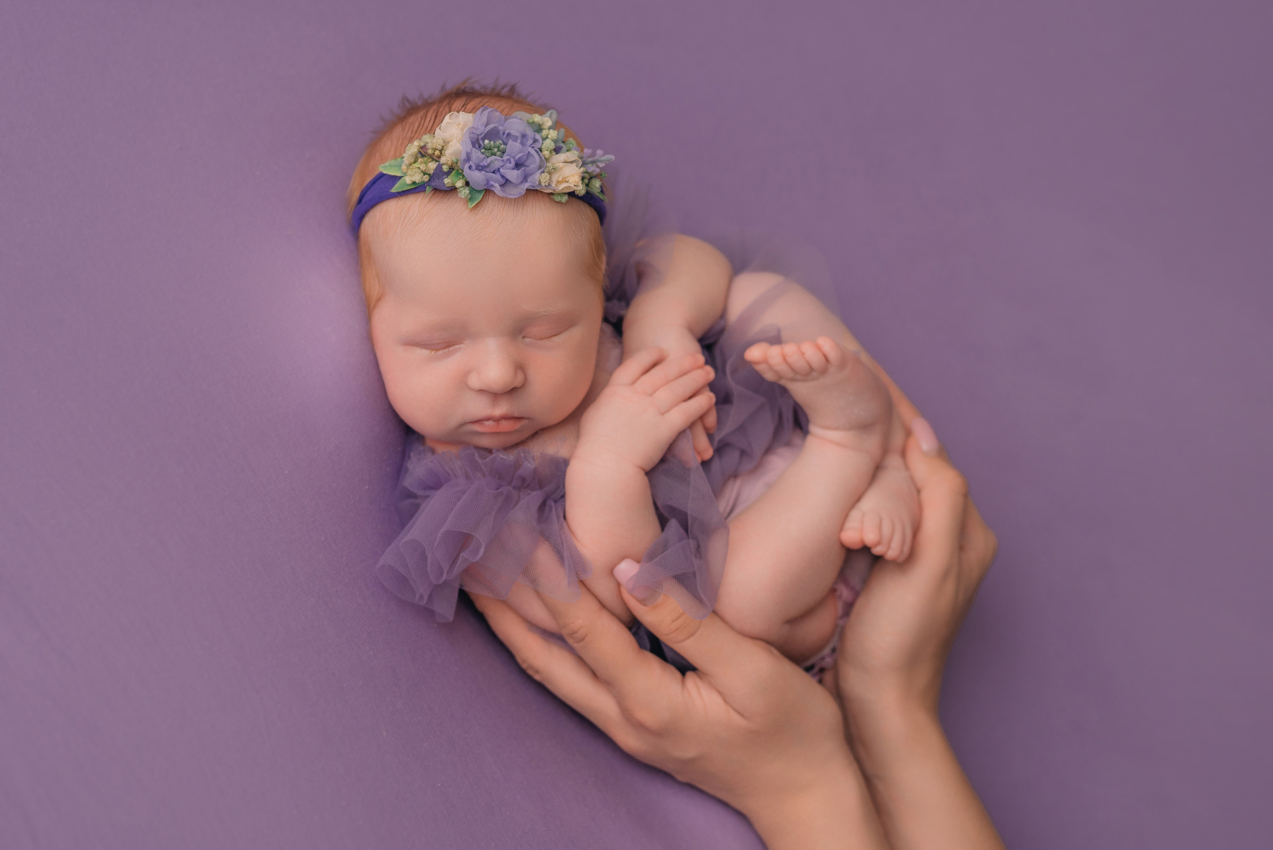 Варя. Фотограф новорожденных Белгород