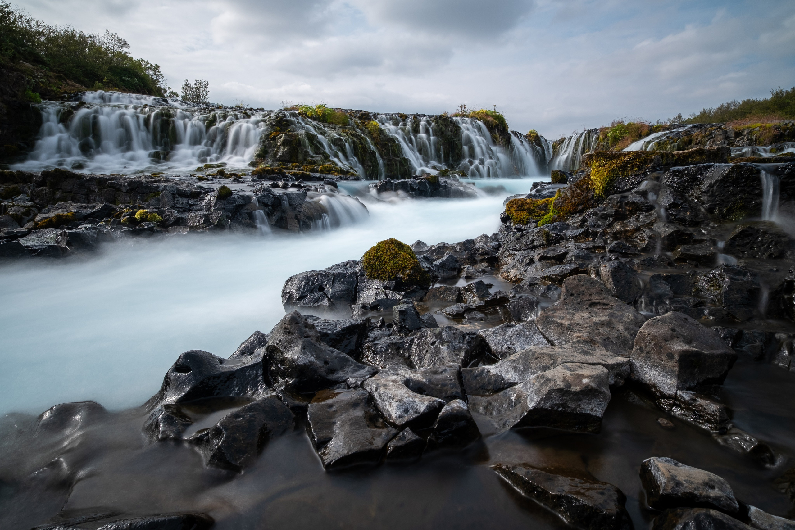 Дмитрий Шишкин