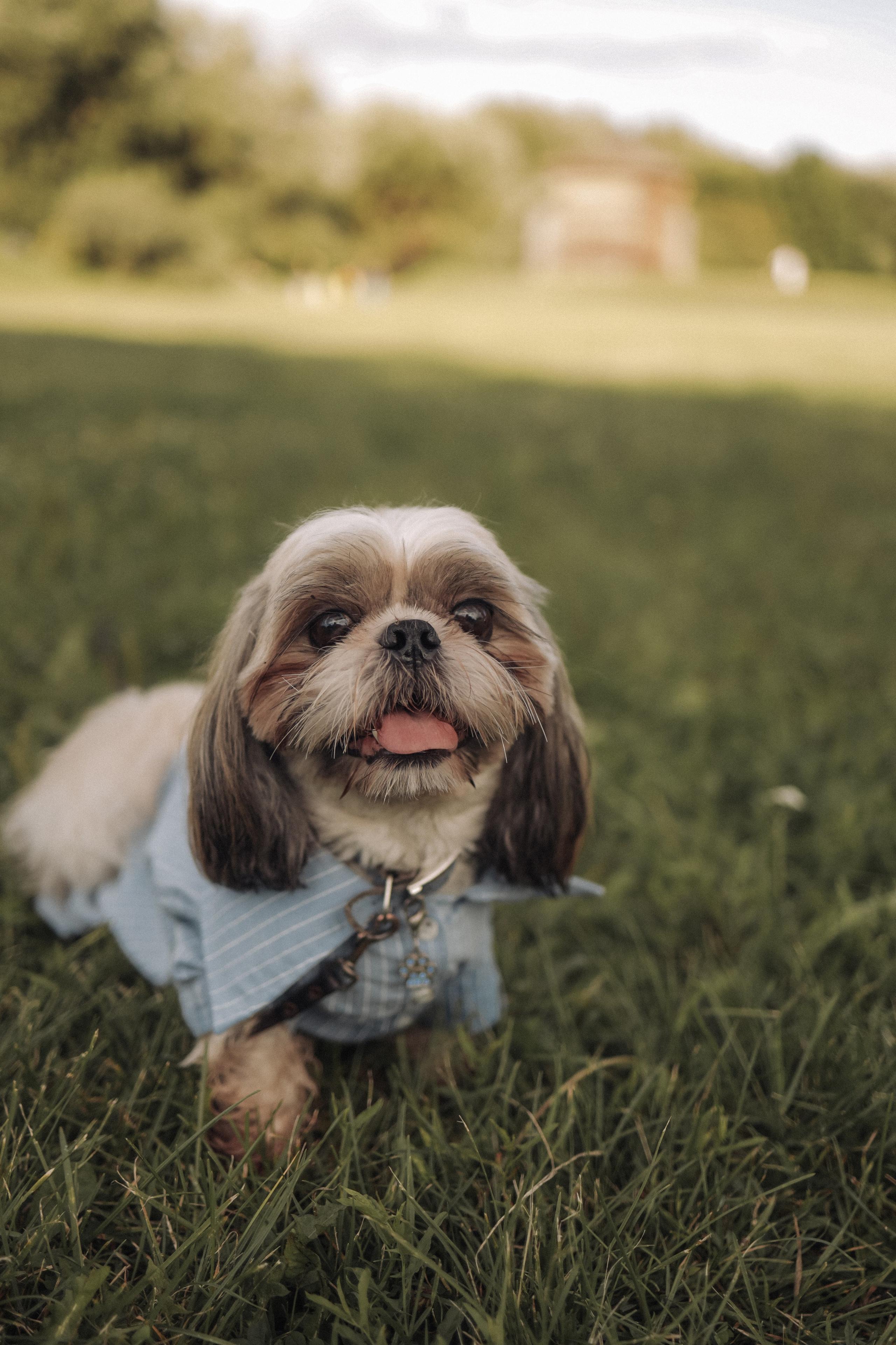 О любви и Прогулках. Марина Мужиченкова. Семейная и детская фотосъёмка в Москве