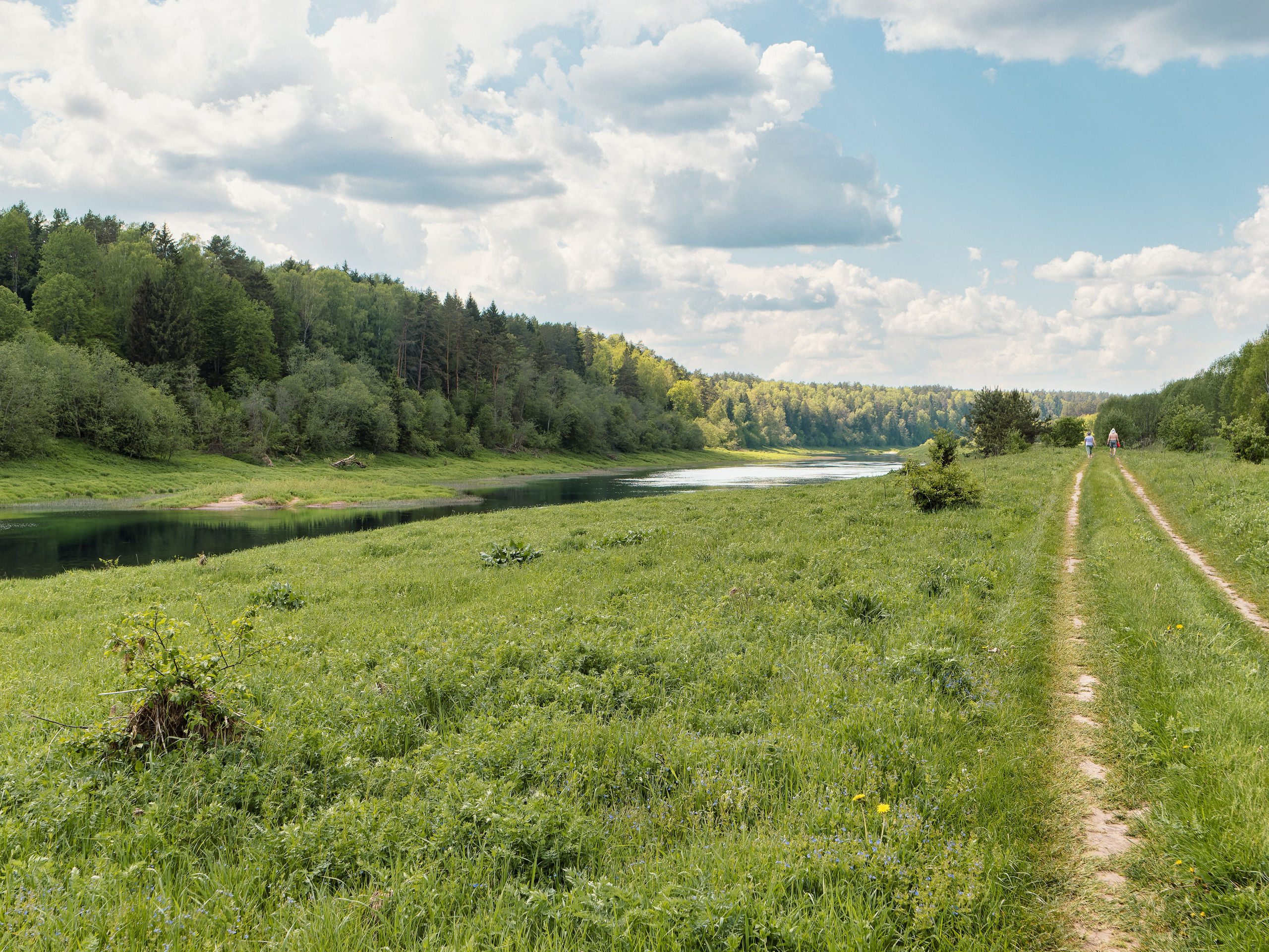 На берегу Угры. Конец мая 2024 года. Фотограф Никифоров-Гордеев Сергей. Москва и МО