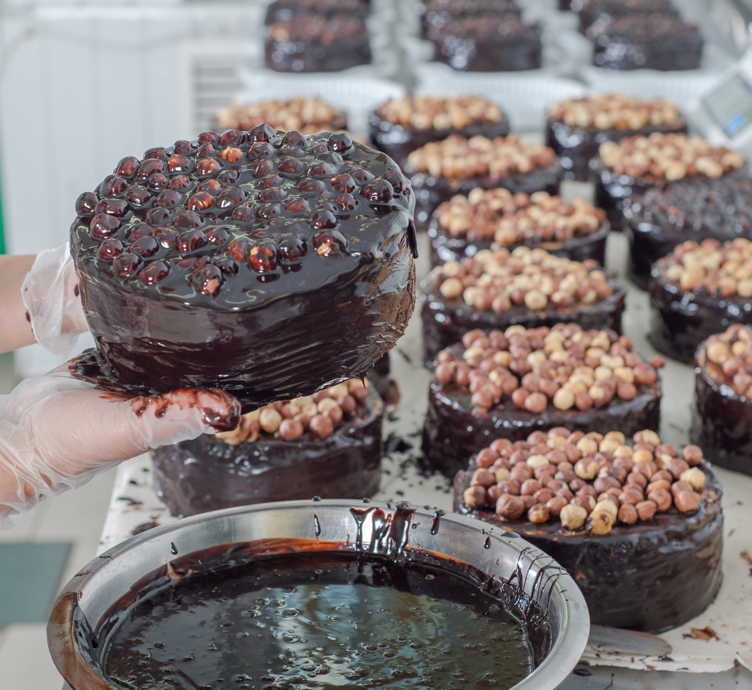 Репортажная съёмка. Фотограф Елена Камынина