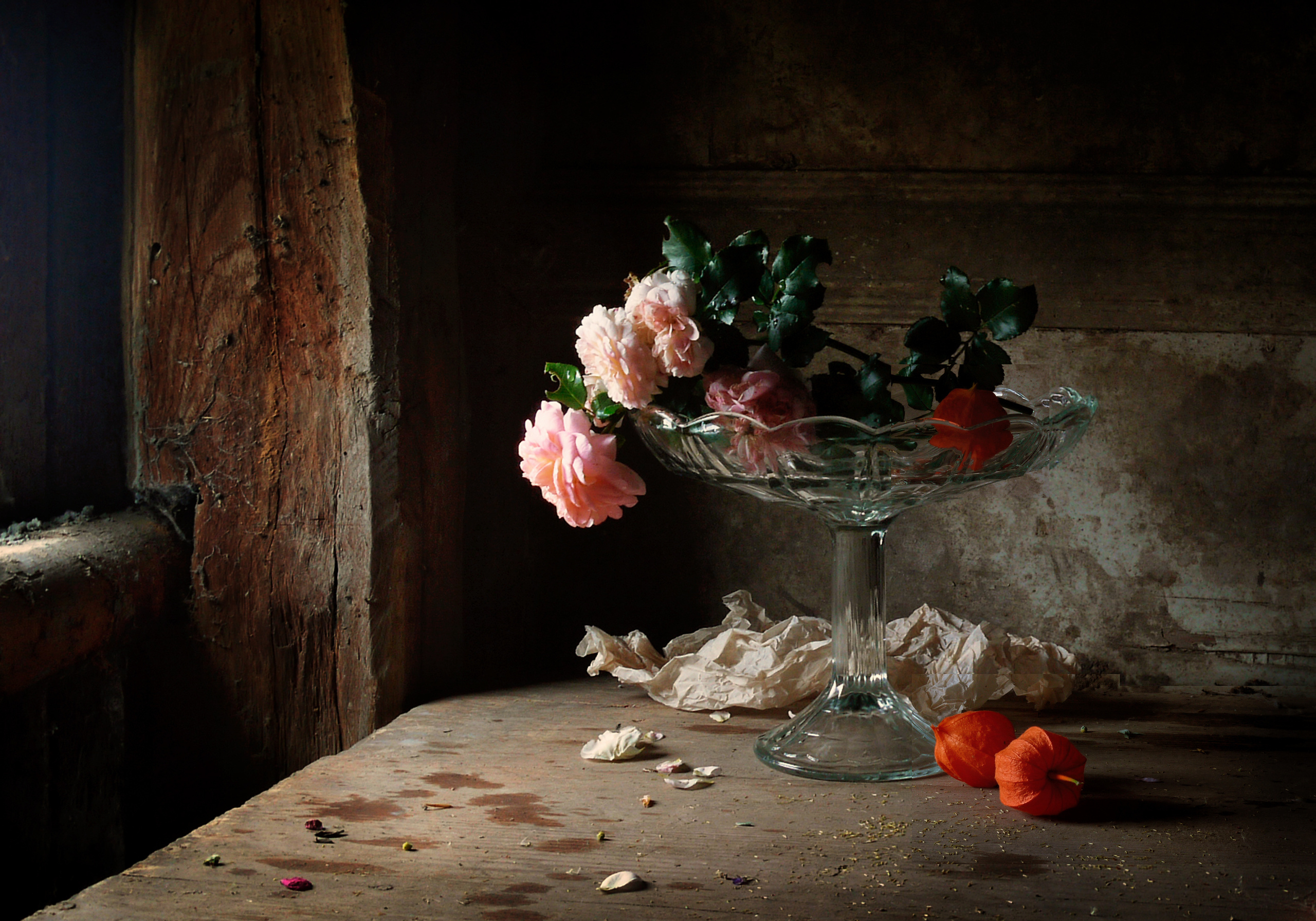 Натюрморт. Фотограф Елена Камынина