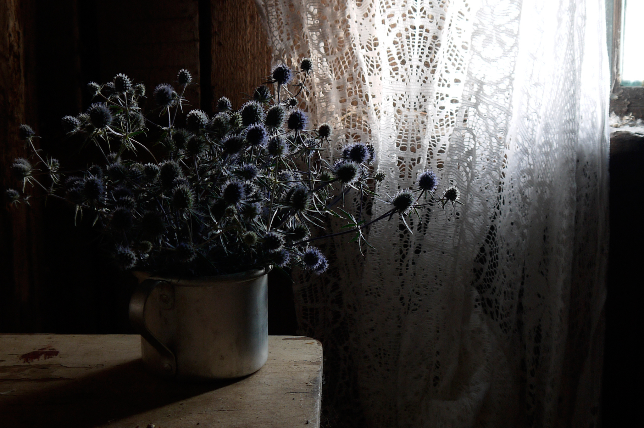 Натюрморт. Фотограф Елена Камынина