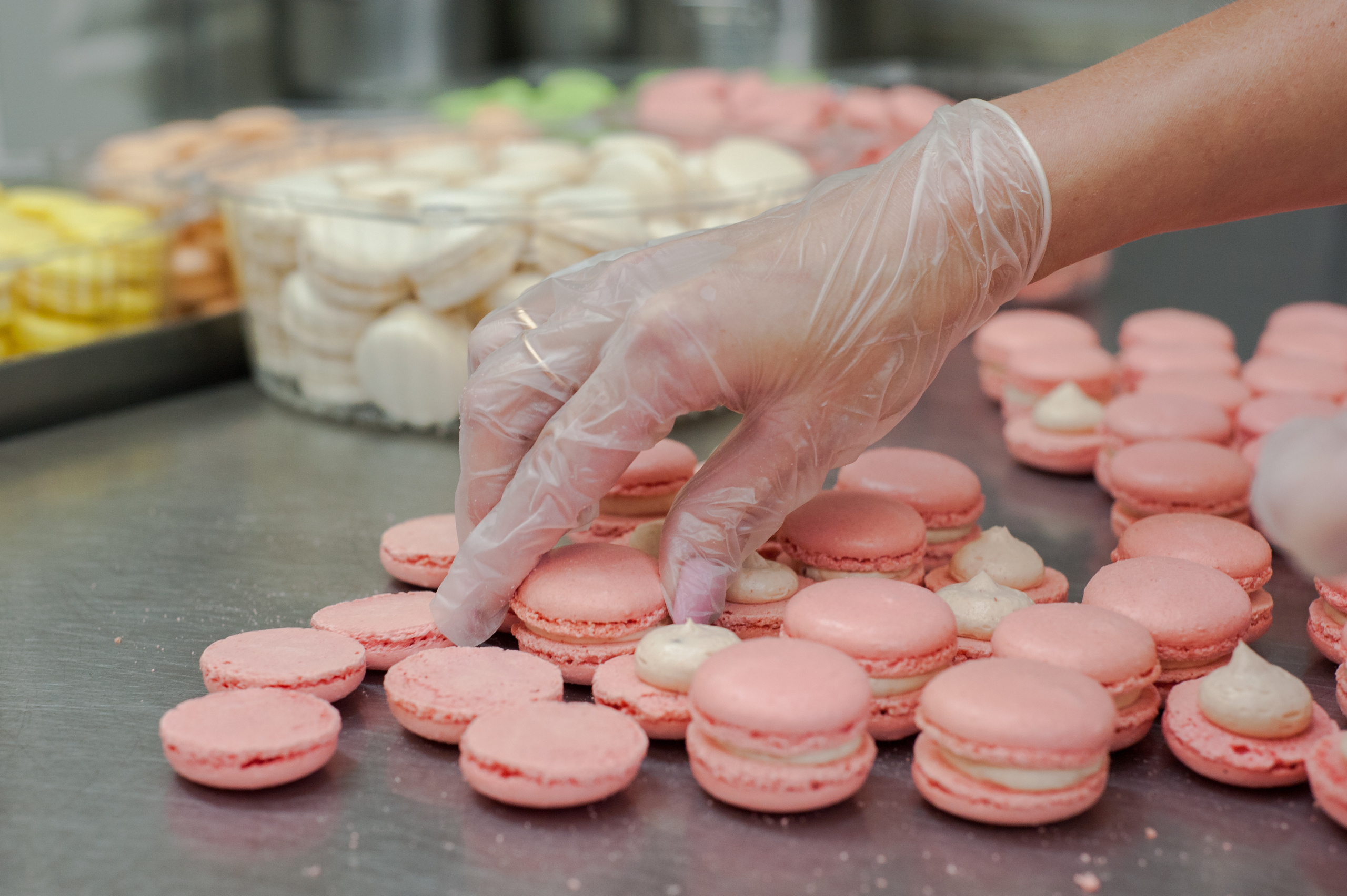 Репортажная съёмка. Фотограф Елена Камынина