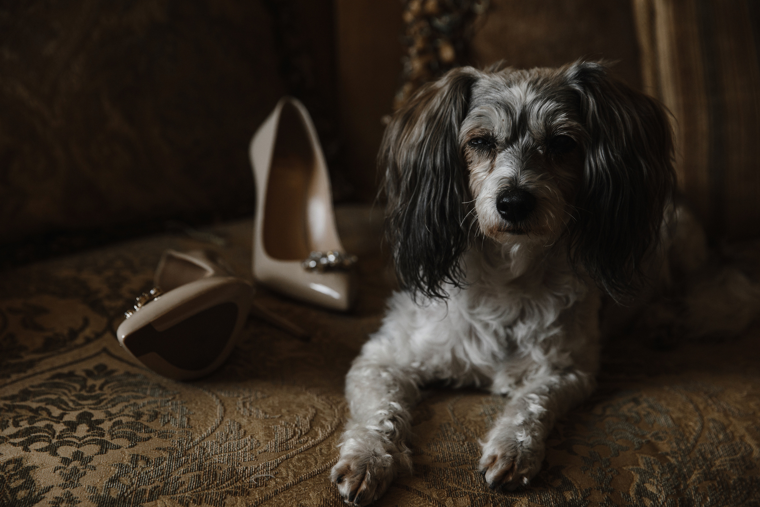 Wedding day Николай и Аня. Свадебный фотограф Колесников Антон